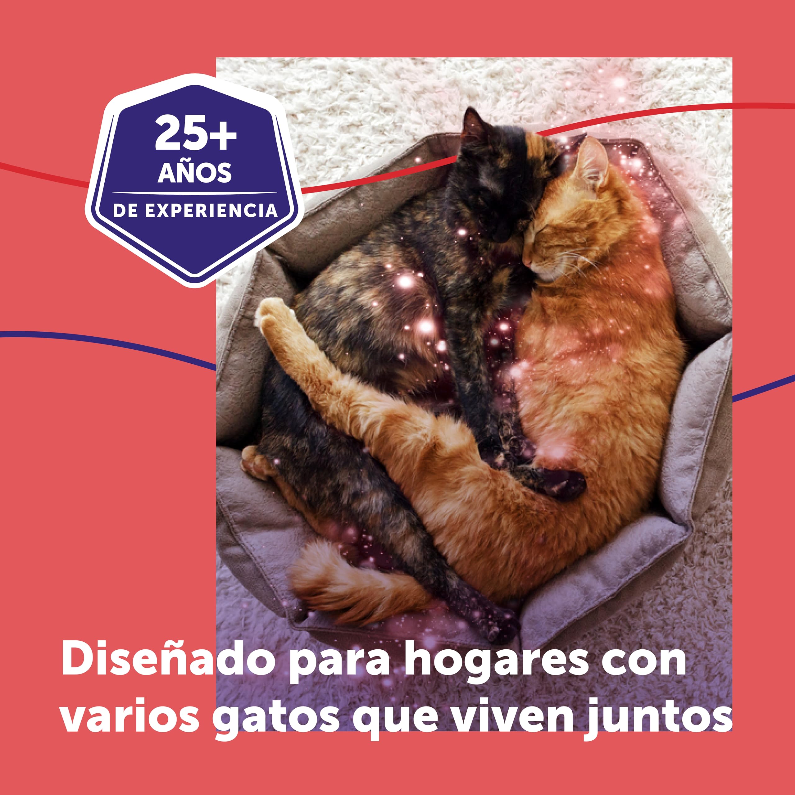 FELIWAY Friends - Difusor + Recambio de feromonas calmantes para Gatos (30 días, 48 ​​ml) - Ayuda a Crear armonía y a Reducir conflictos Entre Gatos Que Viven Juntos. Recomendado por Veterinarios
