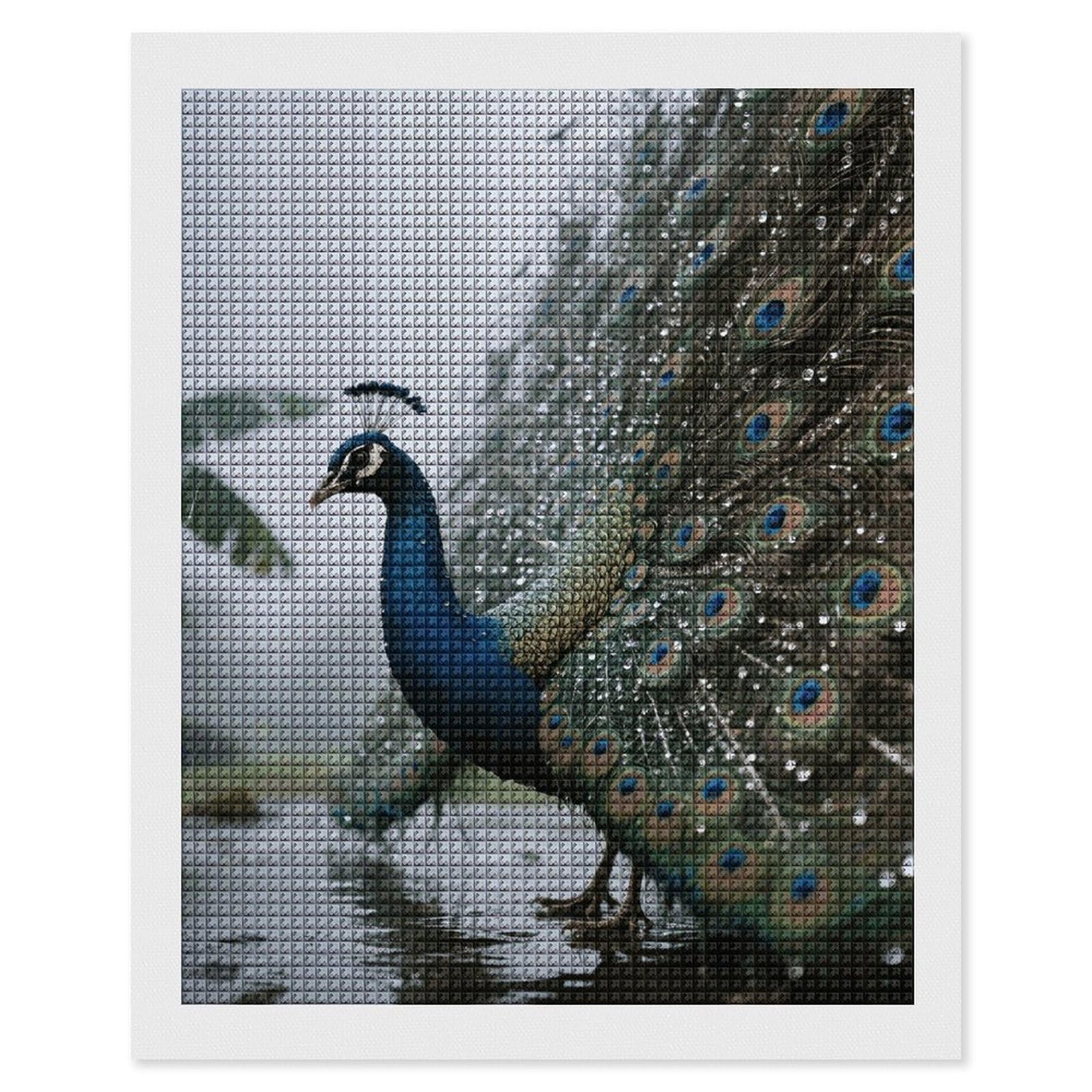 FodPand Peacock 5D Diamond Painting Kits for Adults Beginners Full Drill Square Diamond Dots Pictures Gem Art Supplies for Home Wall Room Decoration DIY Craft Set Gift 16x20