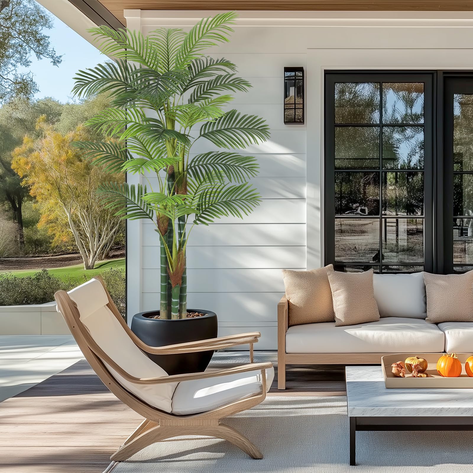 47th & Main Preserved Topiary Ball Potted Plant in Pot, Large, Boxwood/Terracotta