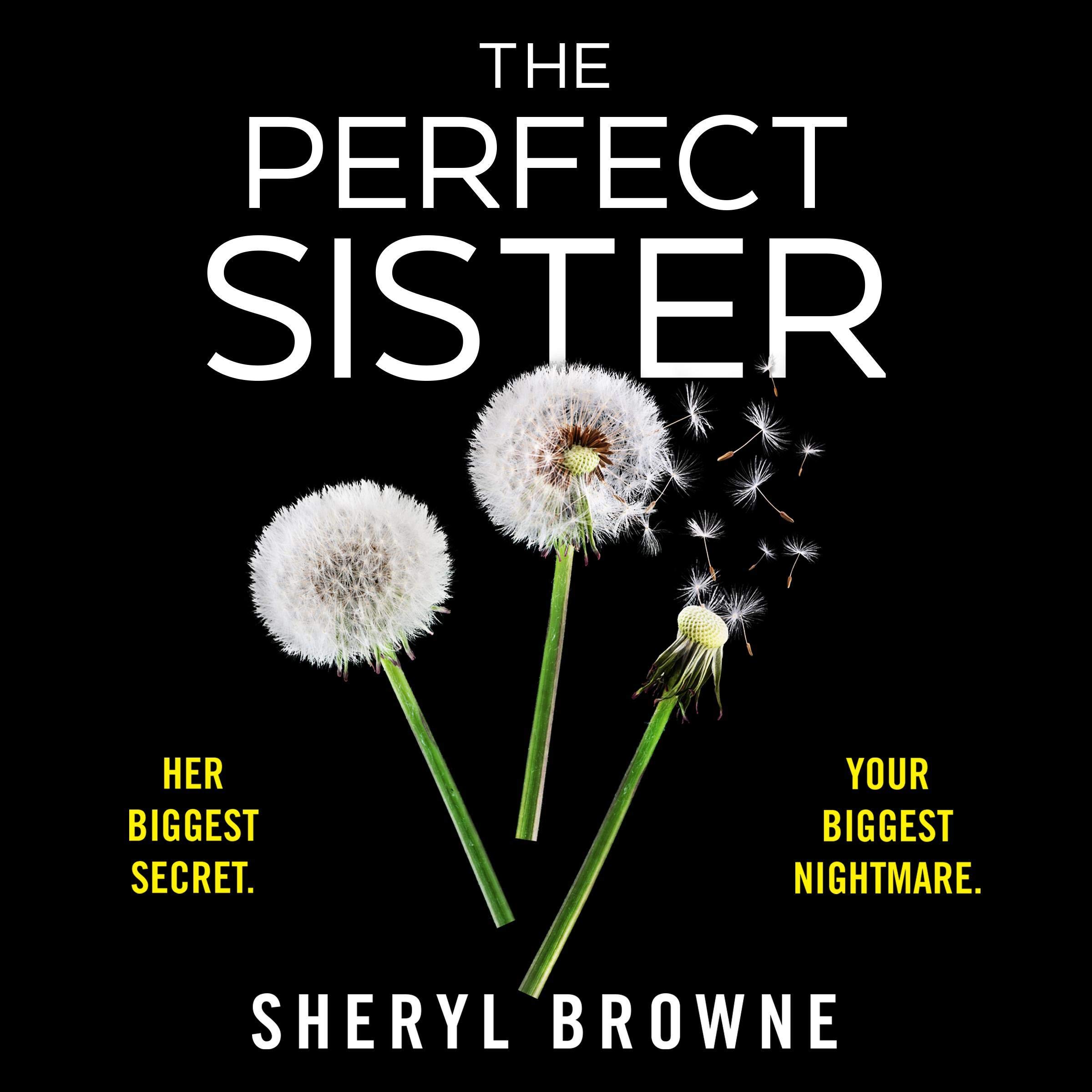 Cover art for The Perfect Sister