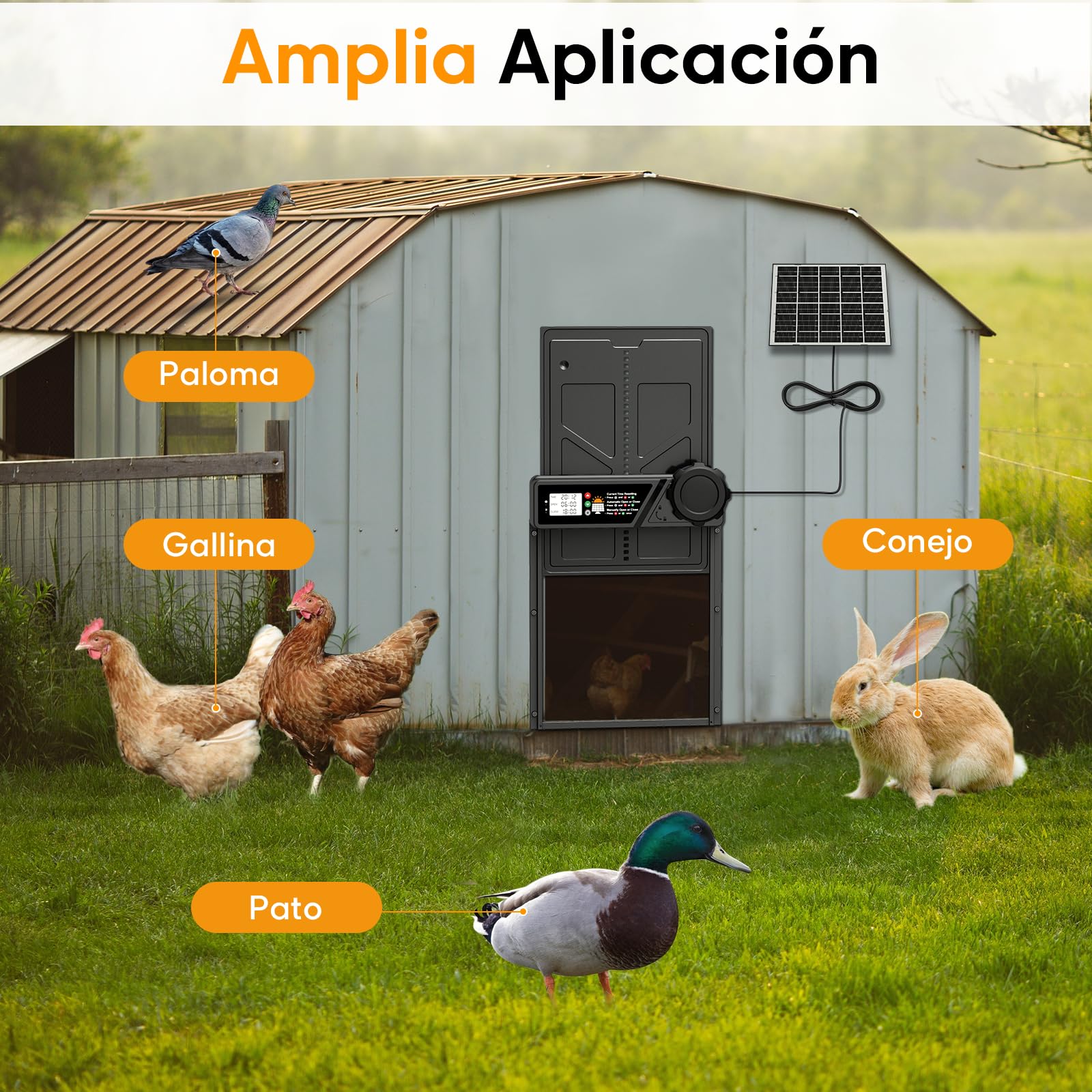 Puerta automática para gallinero solar con pantalla LCD impermeable, temporizador, control remoto, función antipellizco, negro