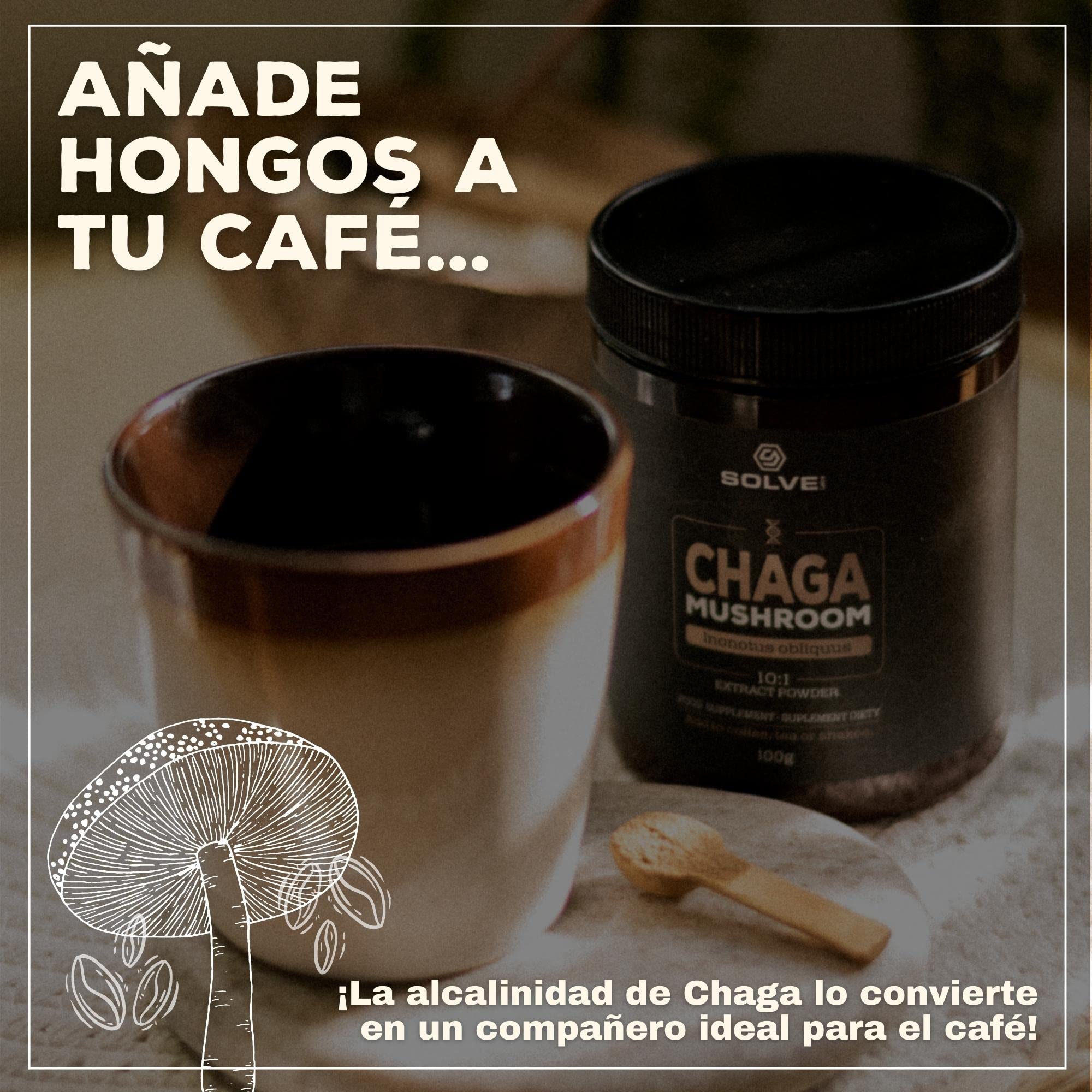 ● Extracto en polvo de hongo chaga siberiano premium ● 10% de beta-D-glucanos ● Extracto 10:1 ● Sin rellenos ni aditivos ● 100 g ● Suministro para 3 mes.