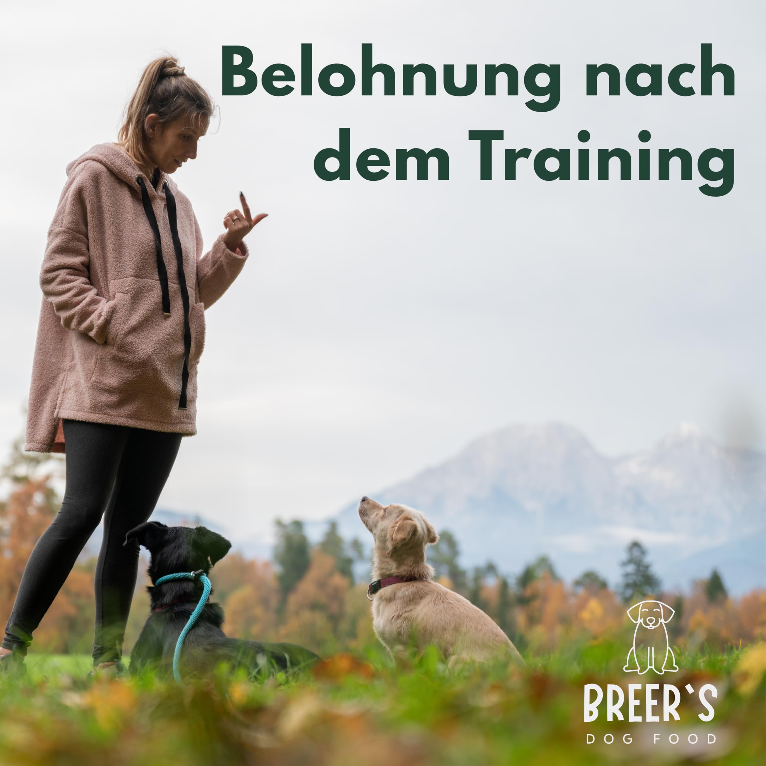 BREERs - Sacadores de ternera secos de 12 cm para perros, 50 unidades de fabricación alemana, para perros grandes, pequeños y cachorros, producto para masticar limpia y fortalece la dentición