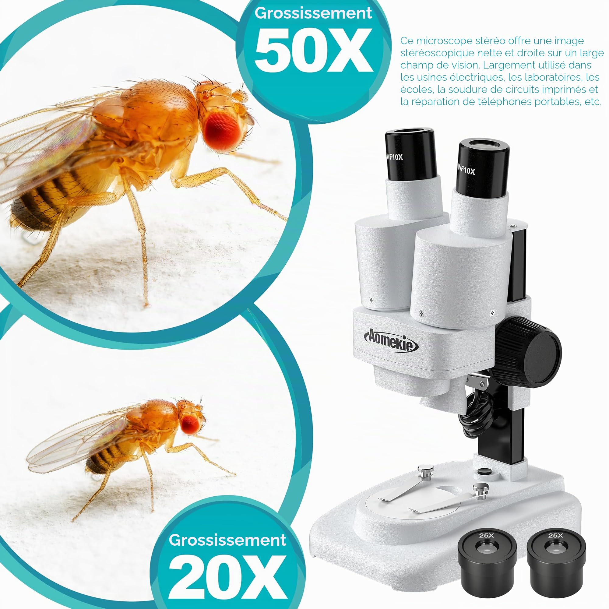 Aomekie Microscope Stéréo 20X/50X, Loupe Binoculaire 3D avec Lames de Verre, Échantillons de Minéraux et Spécimens, pour Juniors et Étudiants