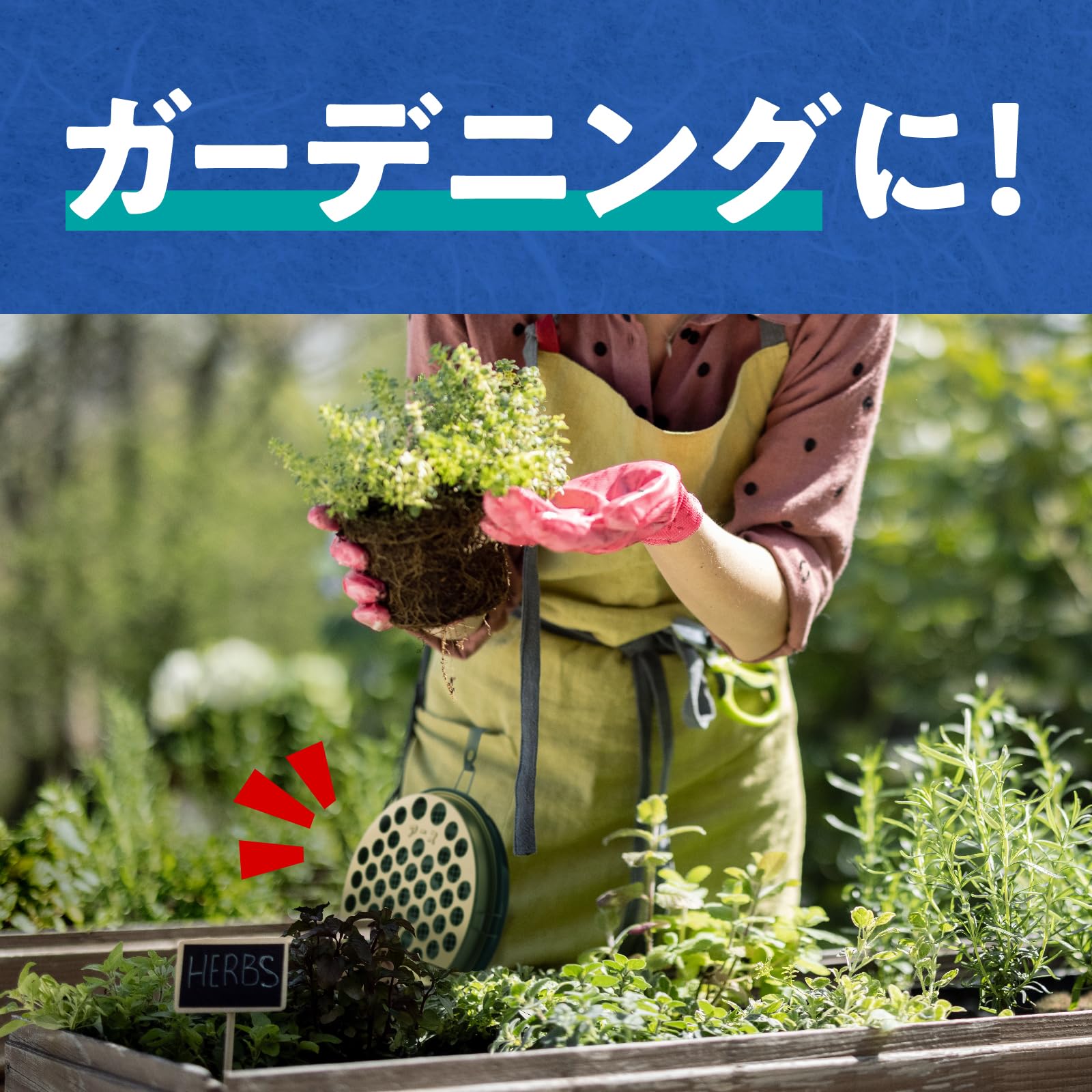 Amazon | アース渦巻香 アース蚊とり 大型吊り下げ式線香皿 蚊取線香用