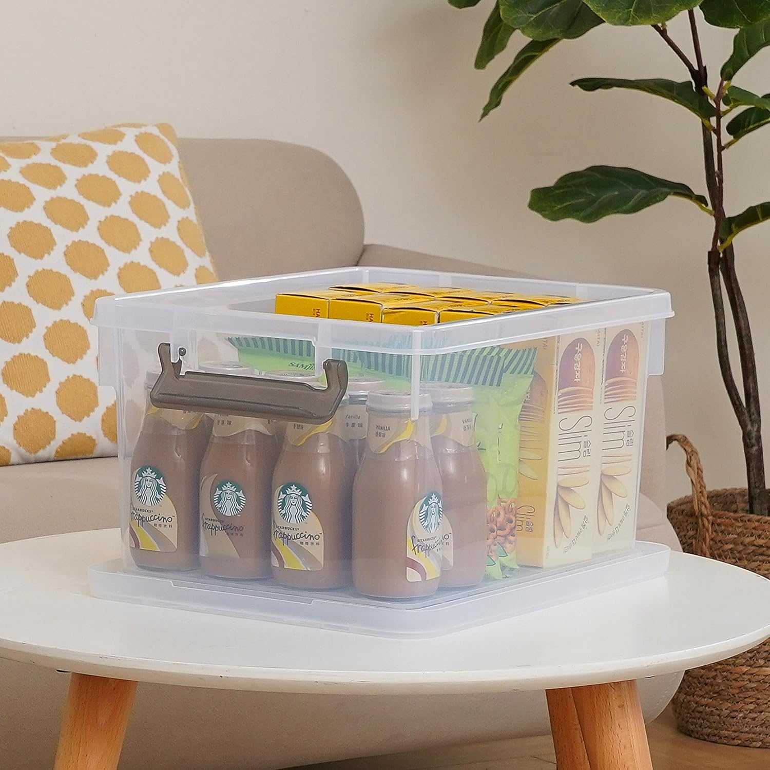 Citylife 22.2 Qt. Plastic Storage Bins with Lids Large Stackable Storage Containers for Organizing Clear Durable Storage Box, 4 Pack