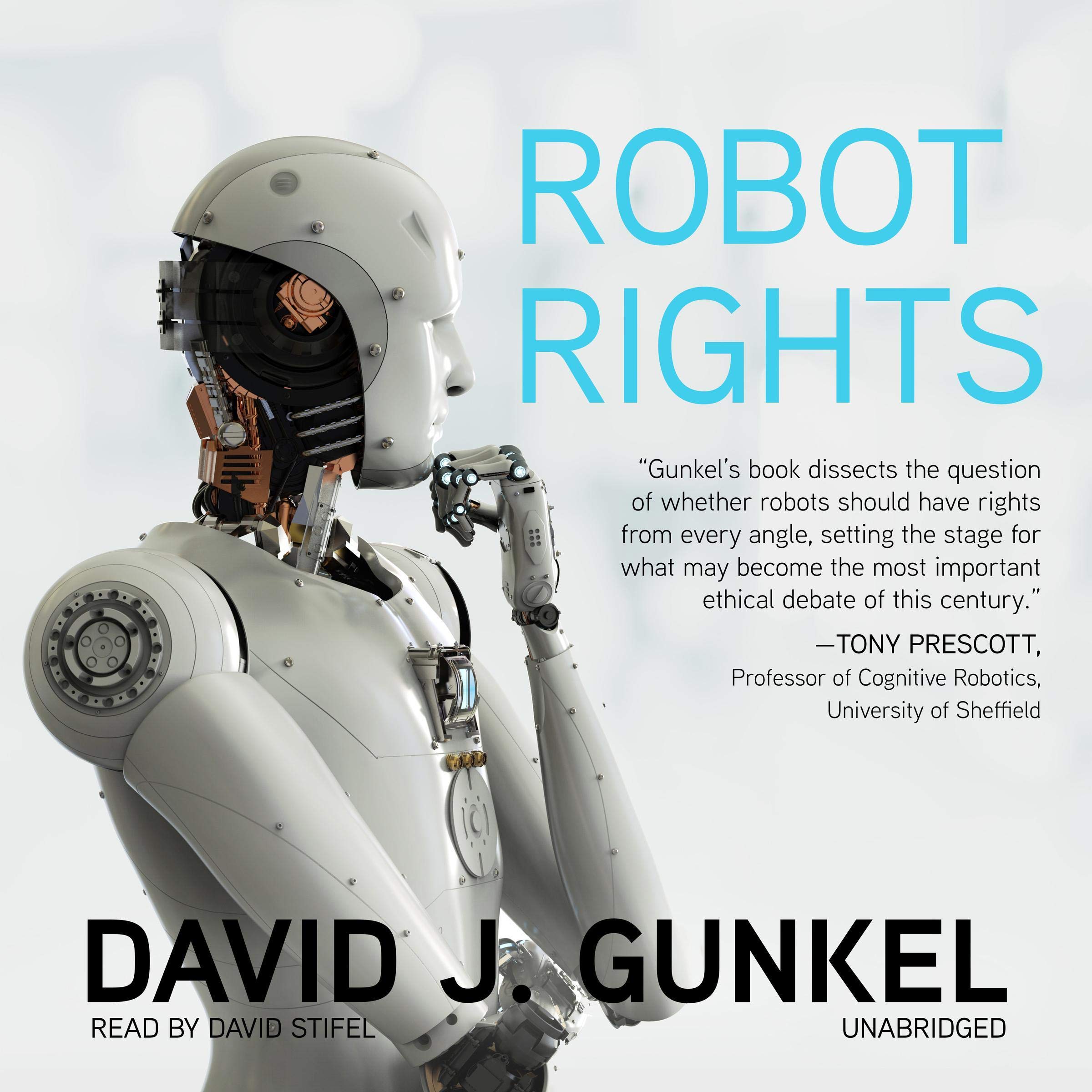 Cover art for Robot Rights