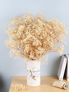 Babys Breath Dried Flowers Bouquet-17'' 3000+ Dry Flowers, Natural Gypsophila Branches for Wedding, Home Table Vase Decor, DIY Wreath Floral, Fall Thanksgiving Autumn Decoration (Ivory White, 3oz)