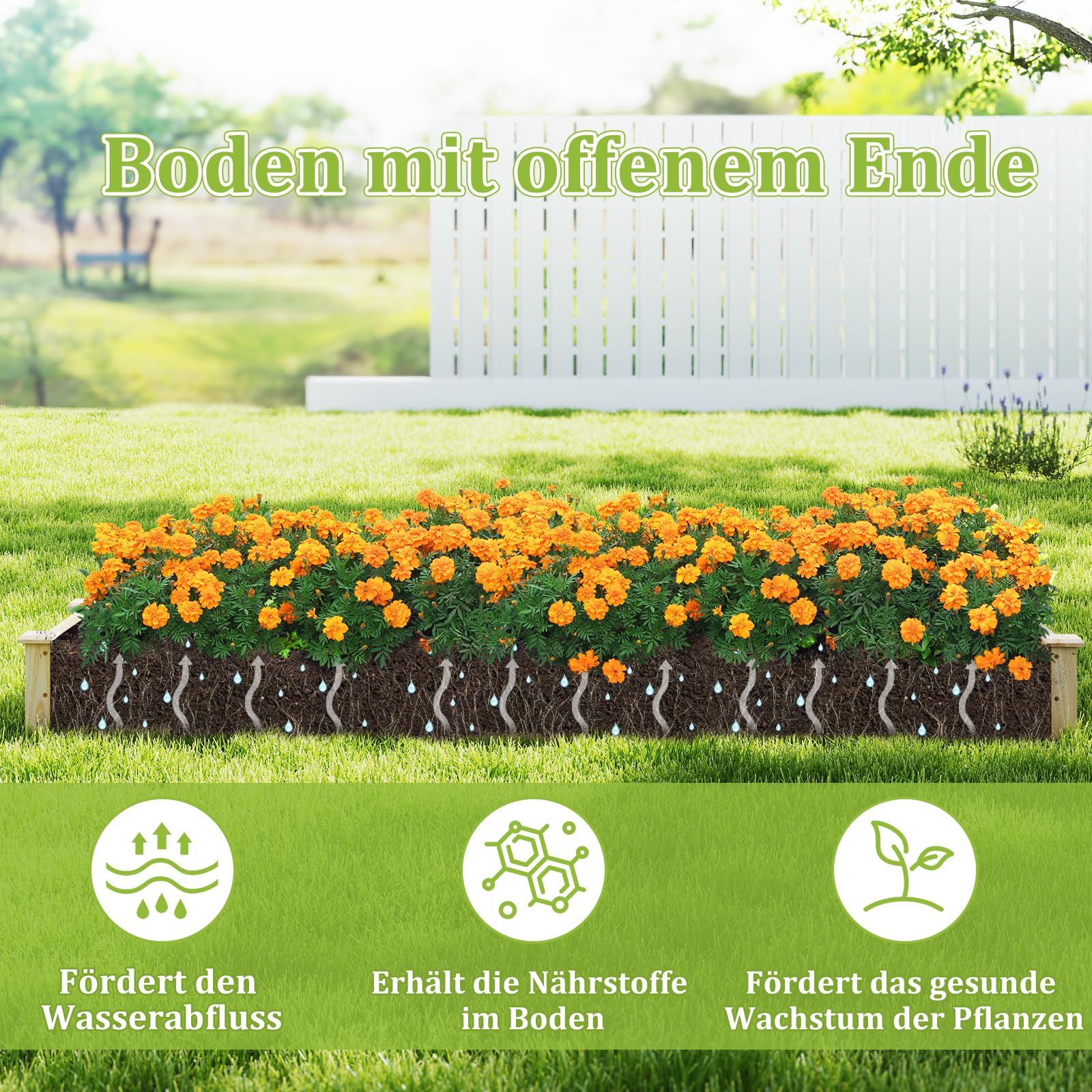 Kit da giardino rialzato Hochbeet aus Tannenholz Gartenbeet mit 2 Pflanzkästen Trennwänden Blumenkasten mit offenem Boden Pflanzbeet Pflanzkasten Pflanzkübel für Blumen Gemüse Obst (228x