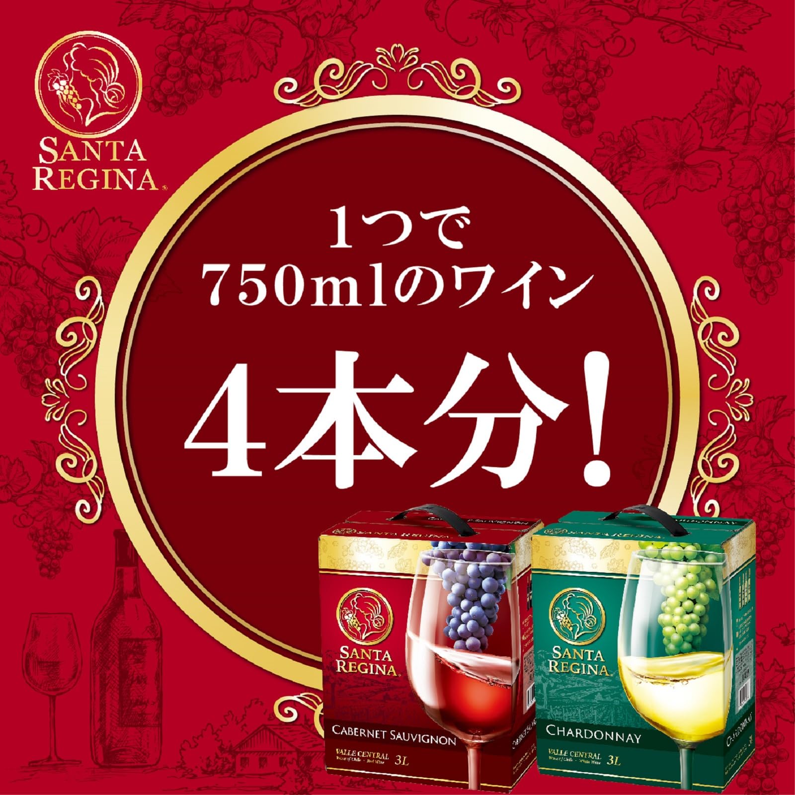 バルデモンテ　& サンタ・レジーナ　3ℓ×4 ×2 Amazon.co.jp: Santa Regina Cabernet Sauvignon Boxed Wine (Bag in