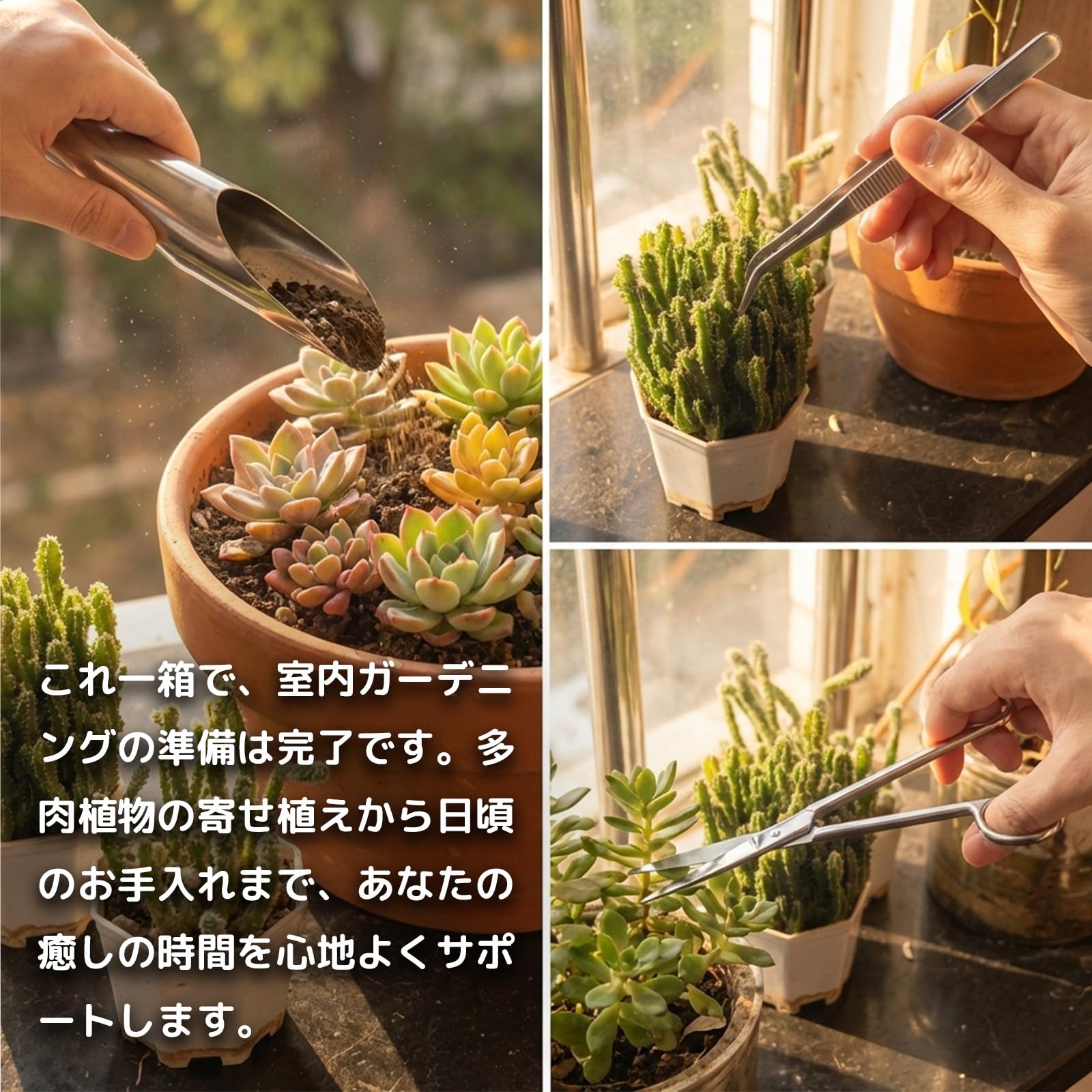 Amazon.co.jp: Nekomorebi 多肉植物 園芸ツール 3点セット 土入れ