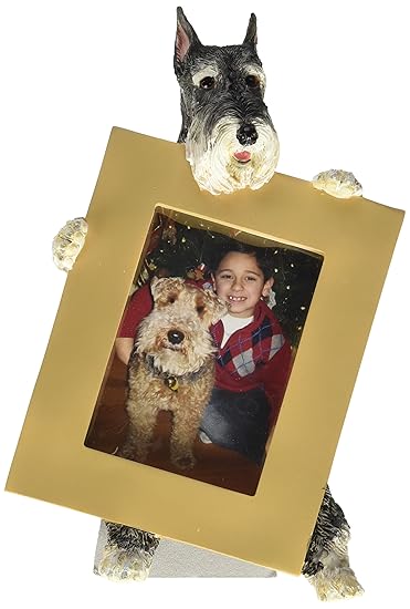 E&S Pets 35315-34 Small Dog Frame