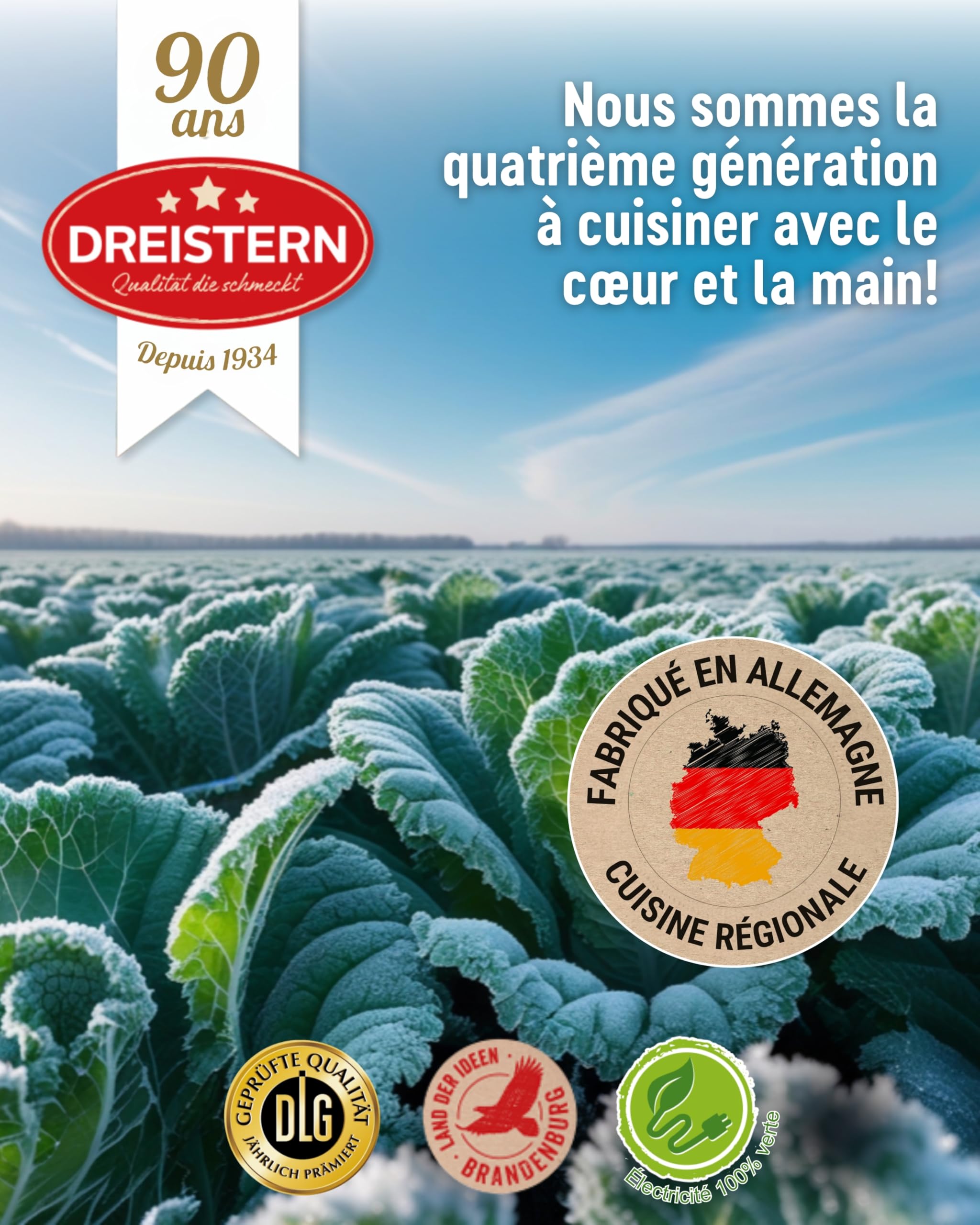DREISTERN Chili con Carne 400g - Avec bœuf & légumes - Chili hyperprotéiné aux valeurs nutritives de qualité - Longue conservation & sans conservateurs ajoutés - Qualité maison