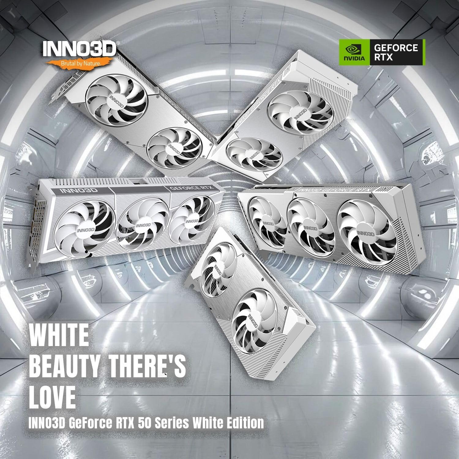 Amazon | INNO3D GeForce RTX 5060 Ti 8GB TWIN X2 OC WHITE N506T2 