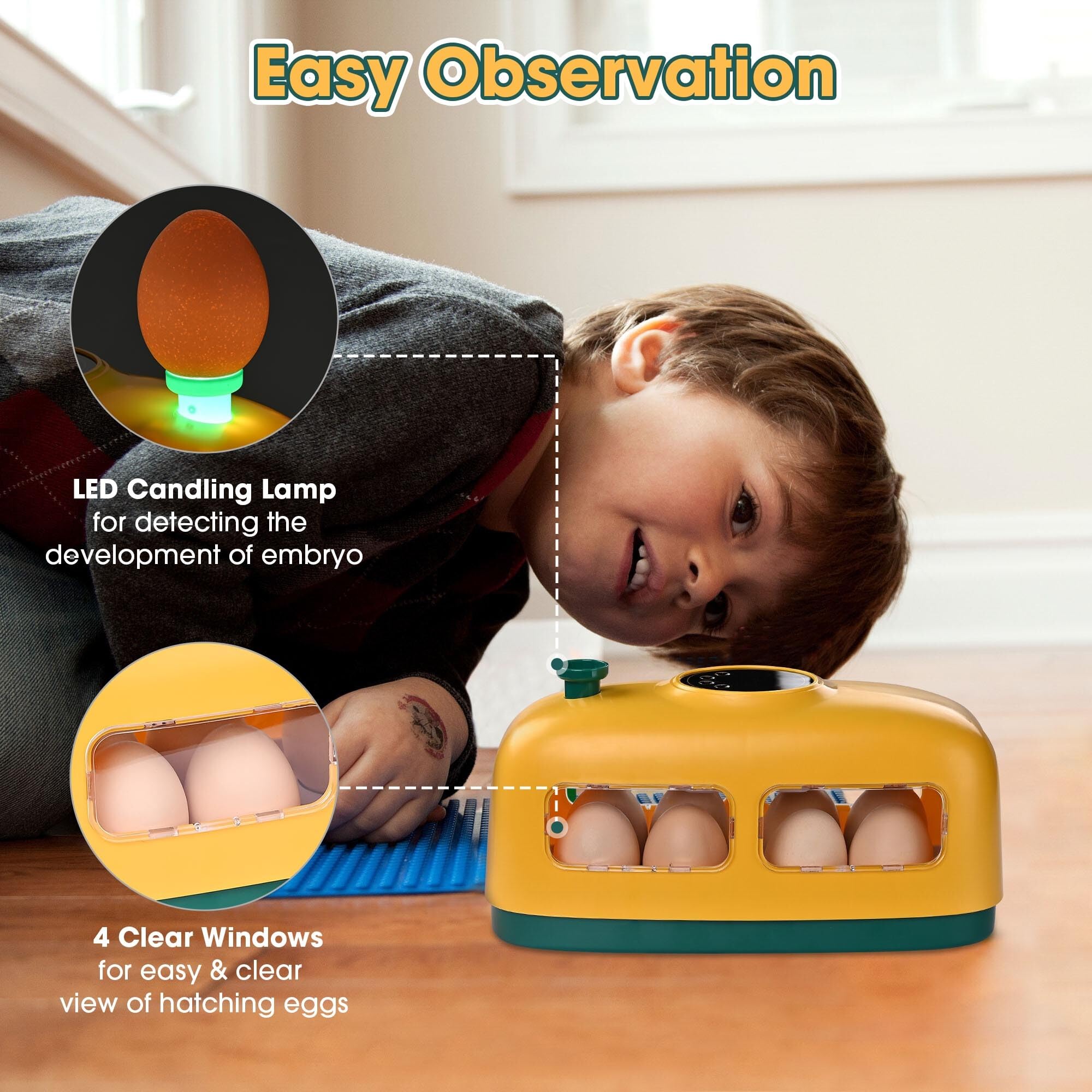 Snapklik.com : 8 Egg Incubator Digital Poultry Hatcher Temperature ...