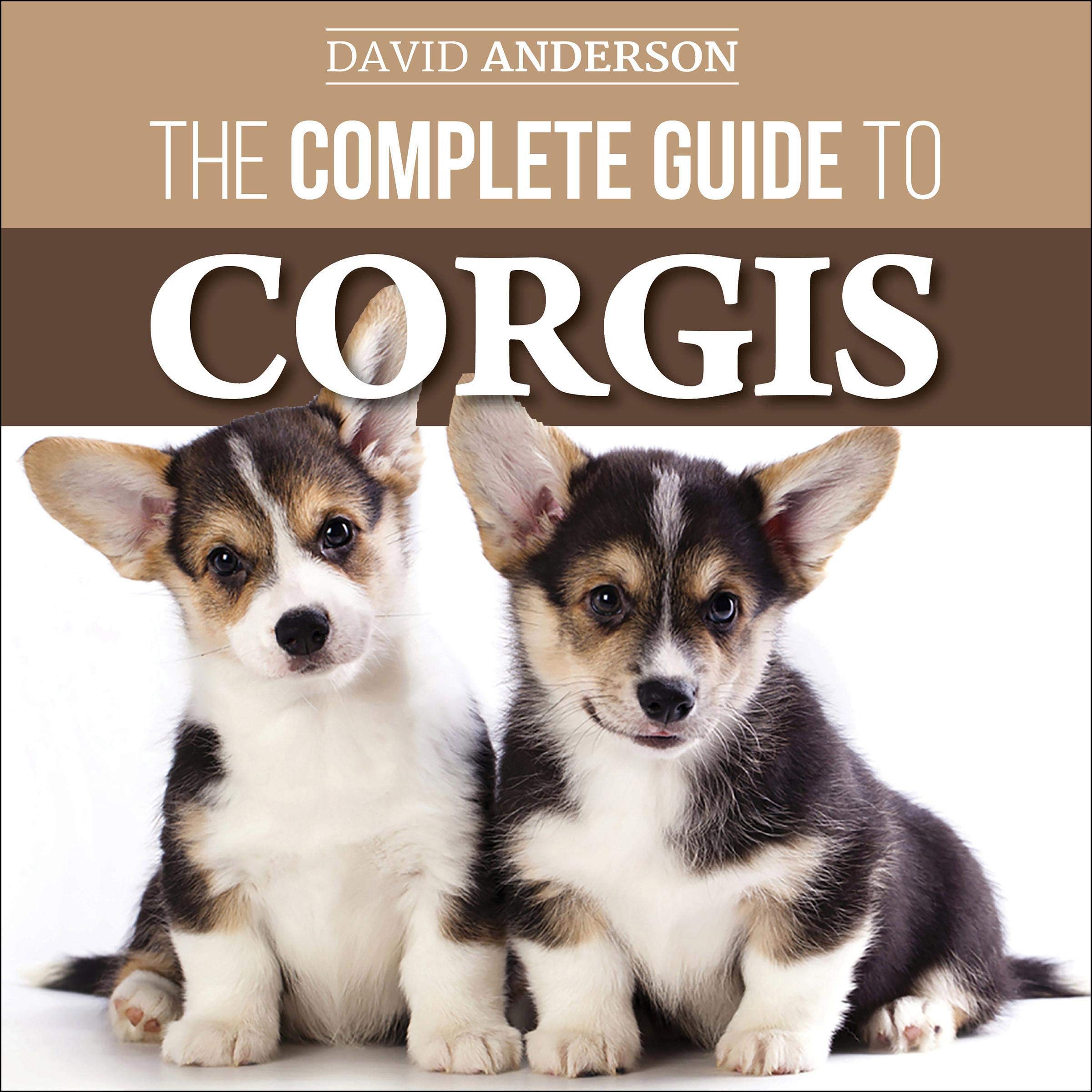 Cover art for The Complete Guide to Corgis