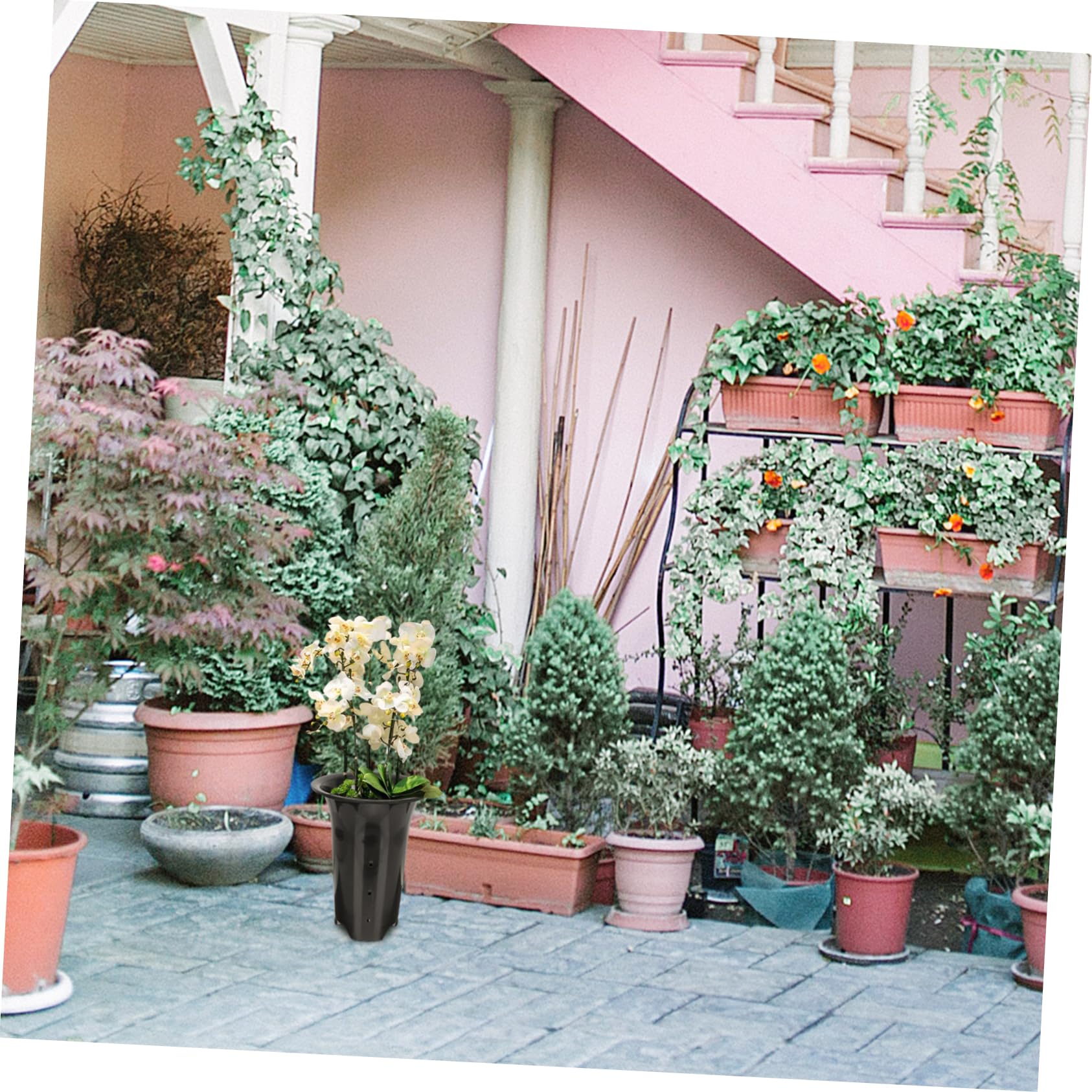 TOYANDONA Lot de 10 Pots à Orchidées en Plastique Noir 15 Cm pour Jardin Intérieur, Contrôle des Racines Hauteurs Augmentées, Pots Respirants Résistants et Perforés, Culture et Entretien Optimisés