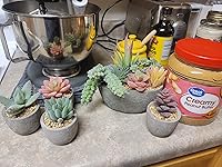 Review Image by Kayla Fischer Kayla Fischer