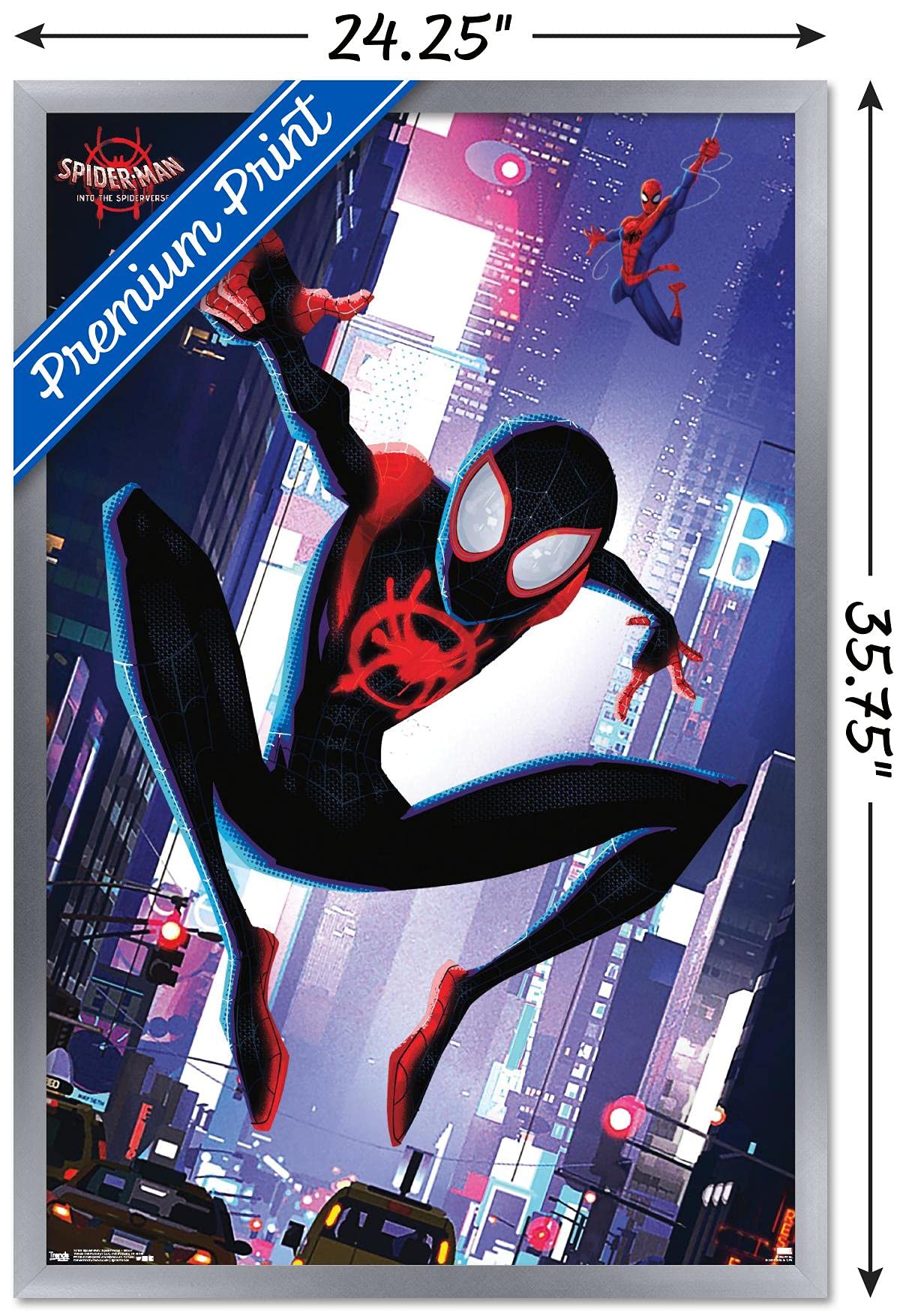 Amazon.com: Trends International Marvel Spider-Man: Into The