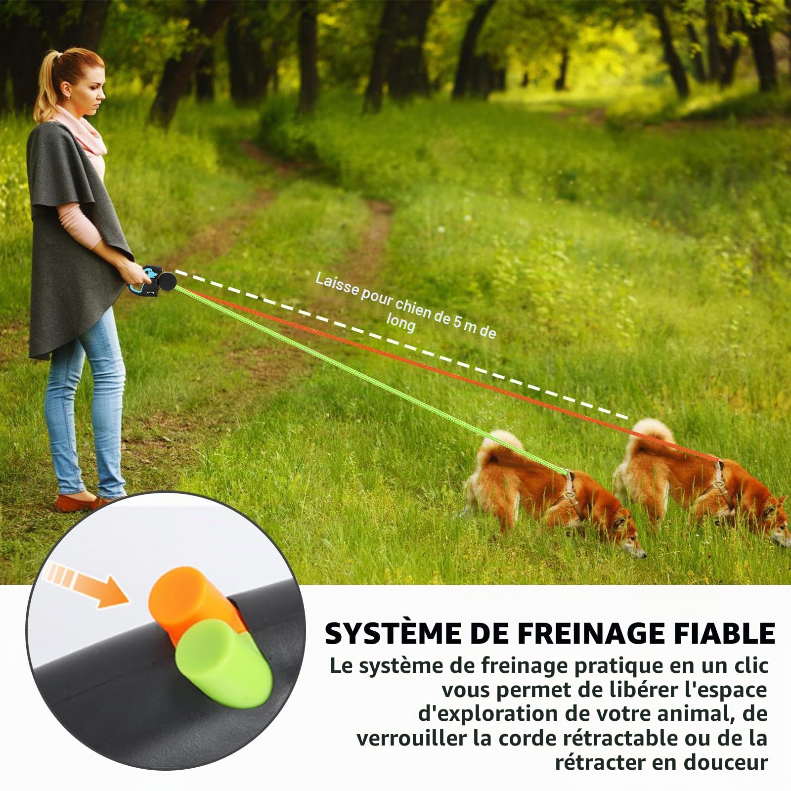 Laisse double rétractable pour chien - Avec lumière LED - Extensible - Pour 2 chiens - Flexible 3M - Poignée antidérapante - Bouton de frein rapide - Pour chiens de petite et moyenne taille - Bleu