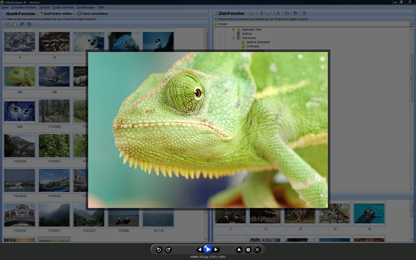 FotoSortierer XL (2026er Version) Fotoverwaltung, Foto Manager, Fotos sortieren, Fotos umbenennen, doppelte Bilder finden und doppelte Fotos löschen.
