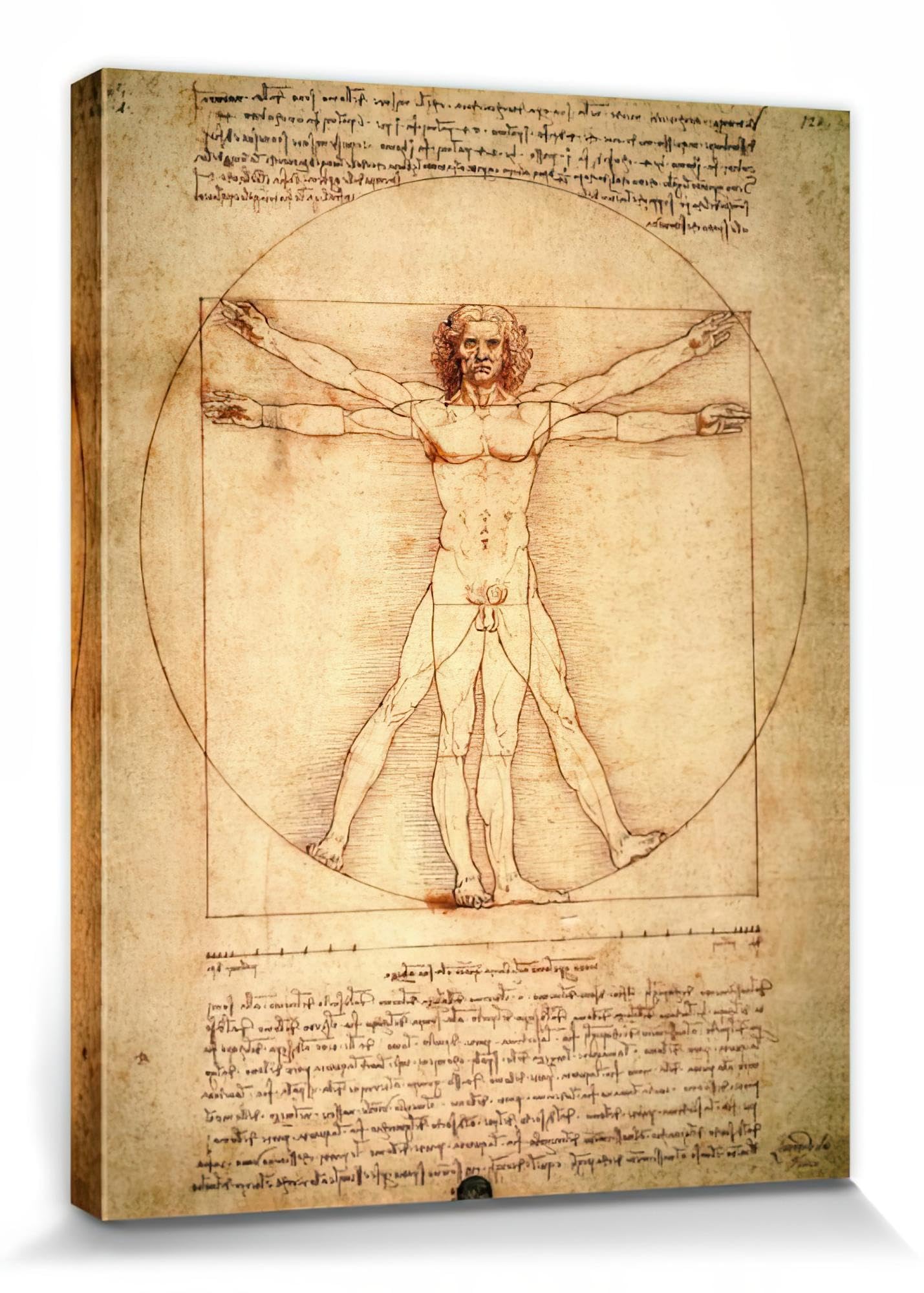 1art1 Leonardo Da Vinci Poster Vitruvianischer Mensch, Circa 1490 Bilder Leinwand-Bild Auf Keilrahmen | XXL-Wandbild Poster Kunstdruck Als Leinwandbild 80x60 cm