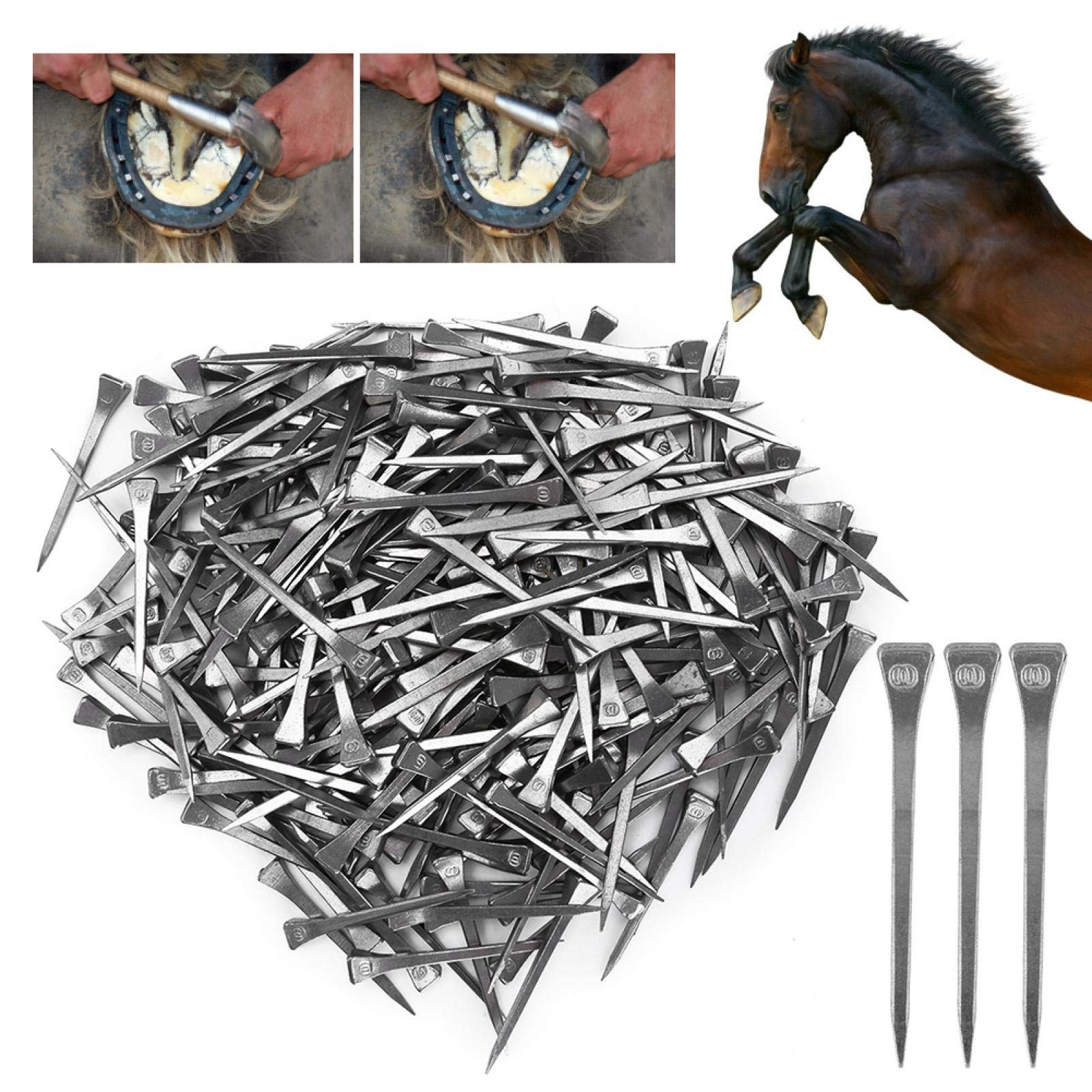 Desconocido Clavos de Herradura E6 de Primera Calidad, 250 Piezas de Clavos de Herradura de Acero E6 Accesorio Suministro de Caballos Mano de Obra Fina