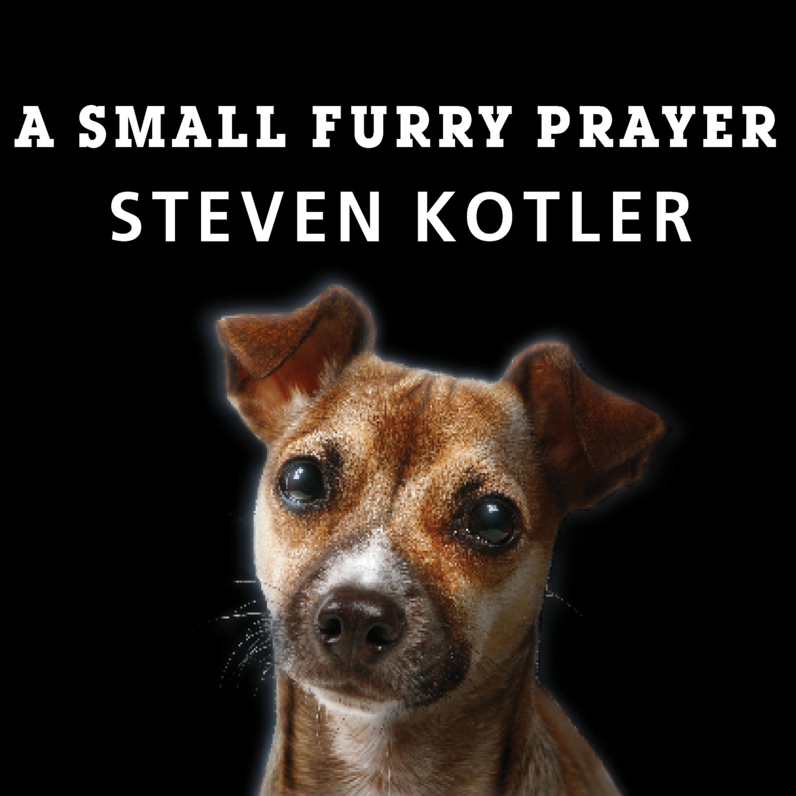 Cover art for A Small Furry Prayer