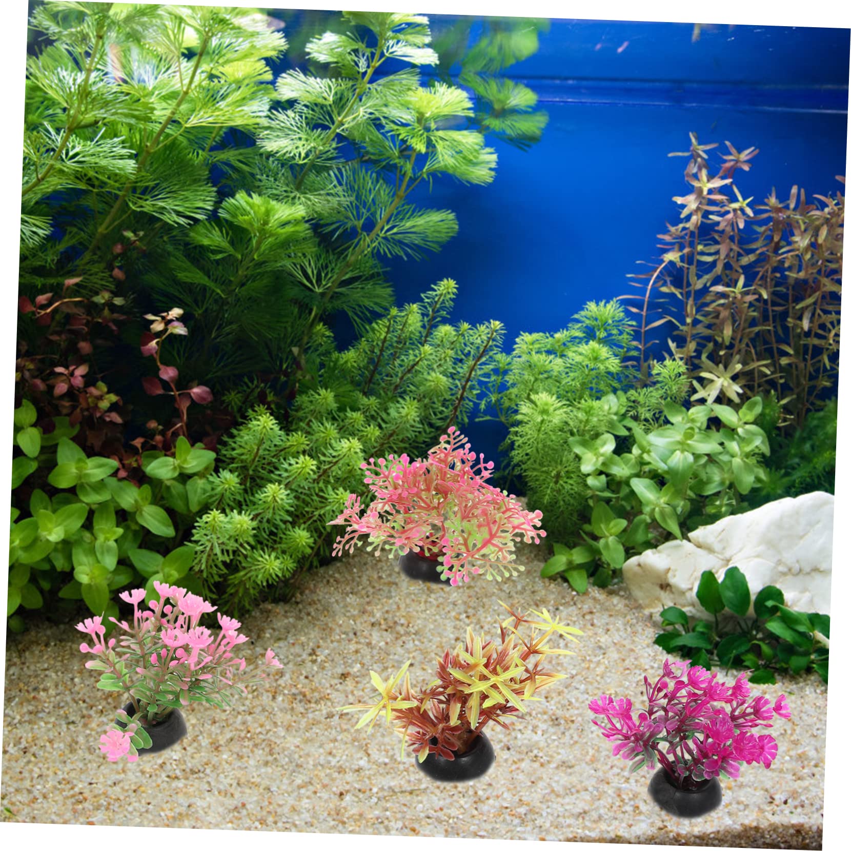 Sosoport 5 Sätze Aquarium Landschaftsbau Wasserpflanzen Aquarium Dekoration Kunstpflanze Mini-aquarienpflanzen Tank Teich Dekoratives Wassergras Mikrolandschaftsdekor Plastik 20 Stück * 5