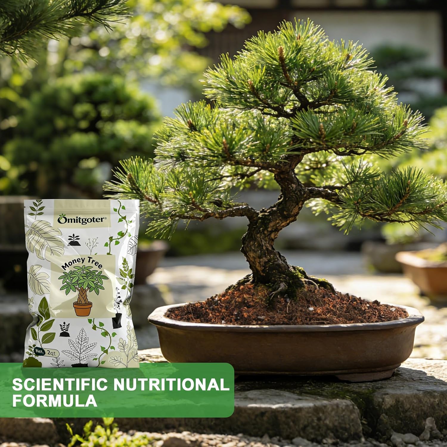 Premium Bonsai Soil Mix for Pine Trees 10qt，Breathable and Drainage Formula| Ideal for Bonsai Pots and Repotting