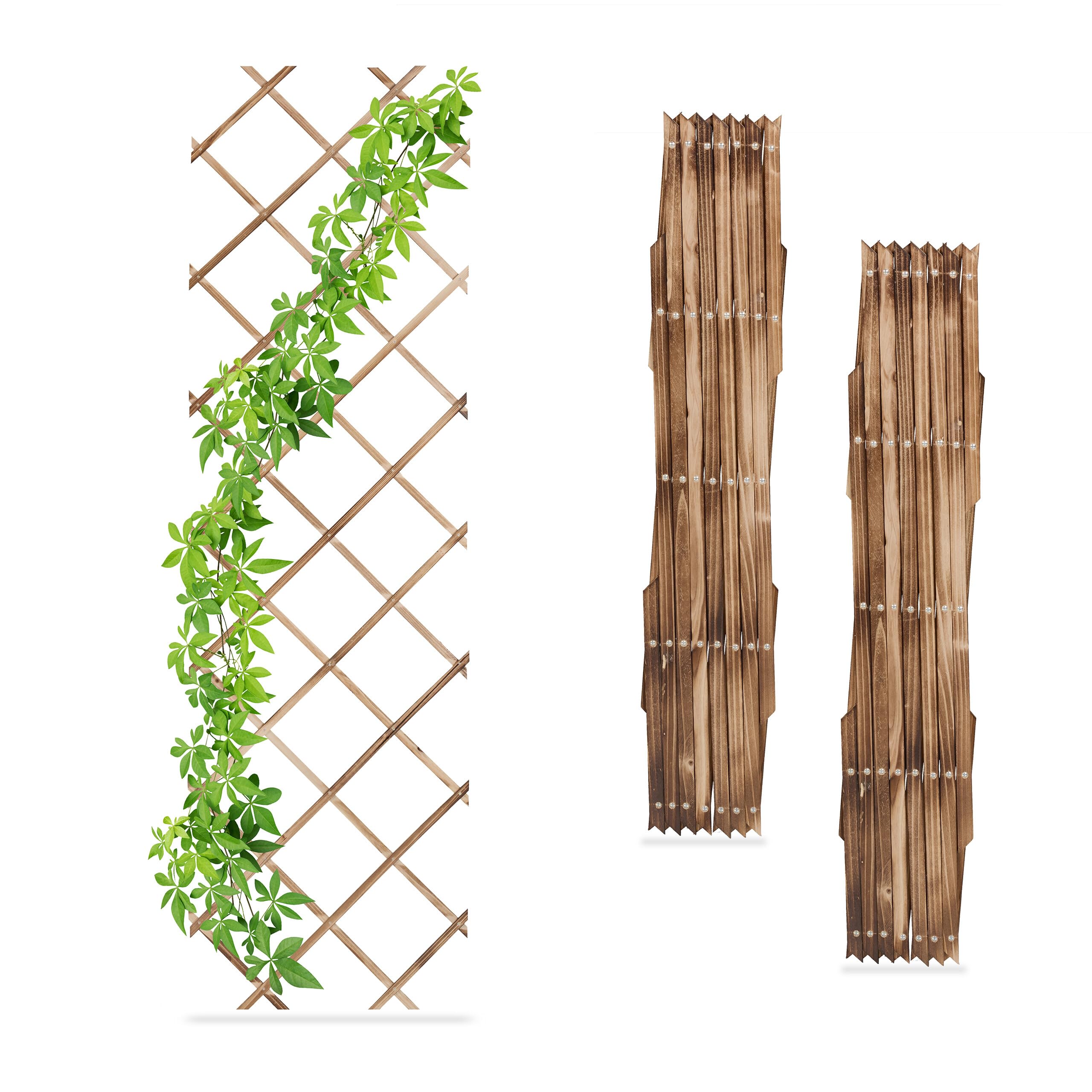 Relaxdays 3x Garden Trellis, Climbing Plants Support, Balcony & Terrace, Extendable Wooden Wall Frame, 180x60cm, Natural