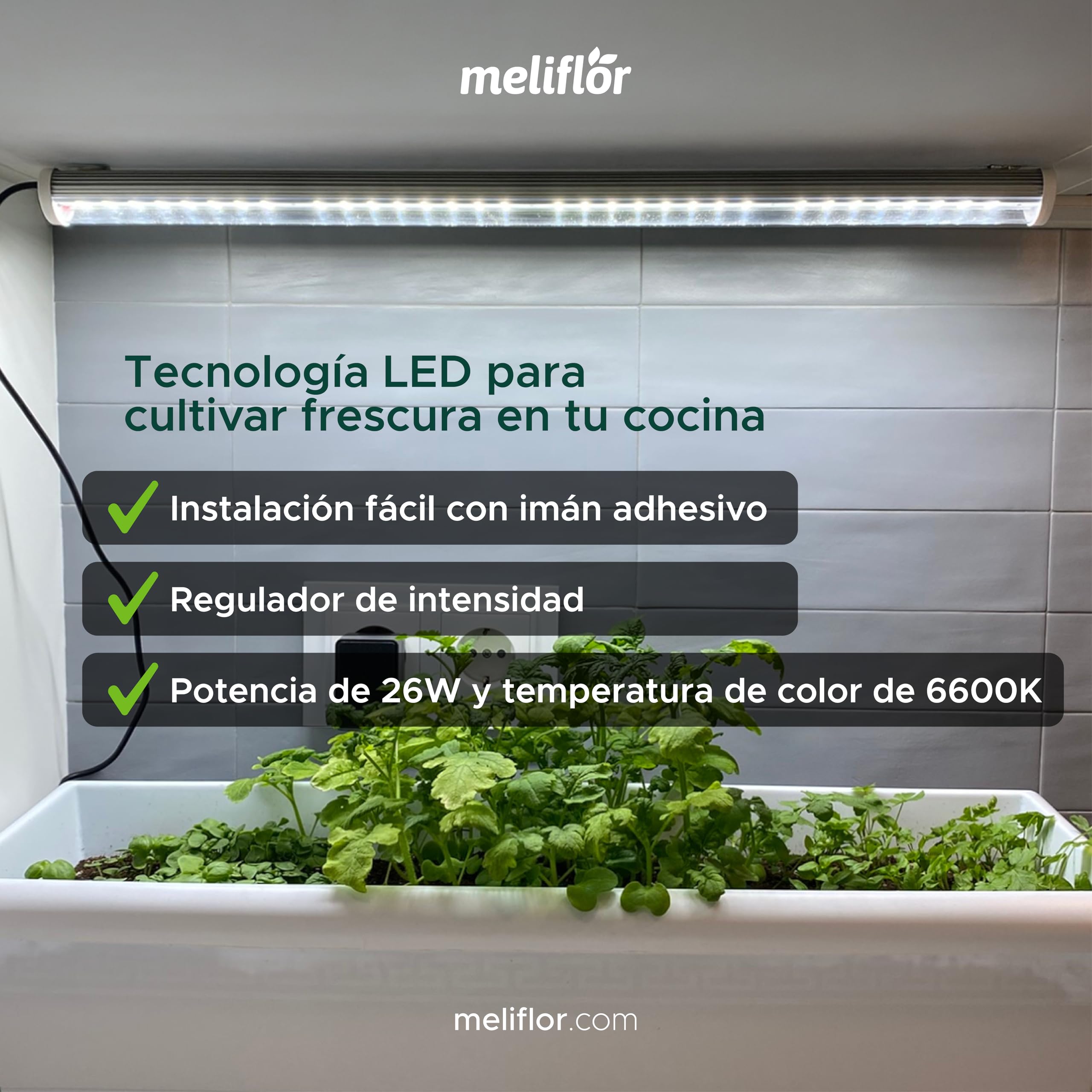 Kit de cultivo de cocina. Meliflor Garden Kitchen (Con iluminación LED)