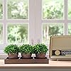 Product Photo 7