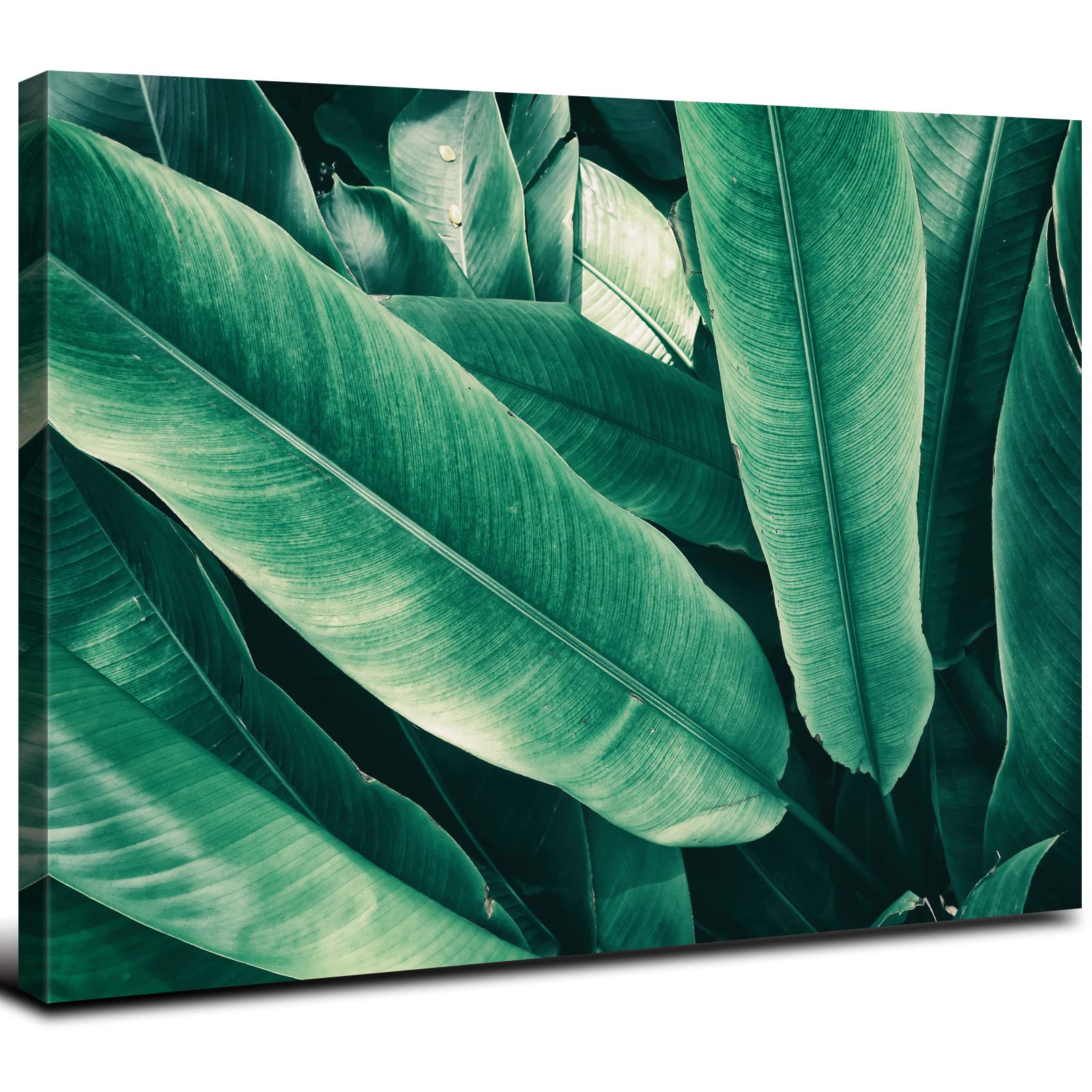 Green Botanical Wall Art Boho Tropical Plant Banana Leaf Picture Bathroom Wall Decor Minimalist Palm Monstera Canvas Print Painting Framed Artwork for Bedroom Living Room Office Home Decoration 24x36"
