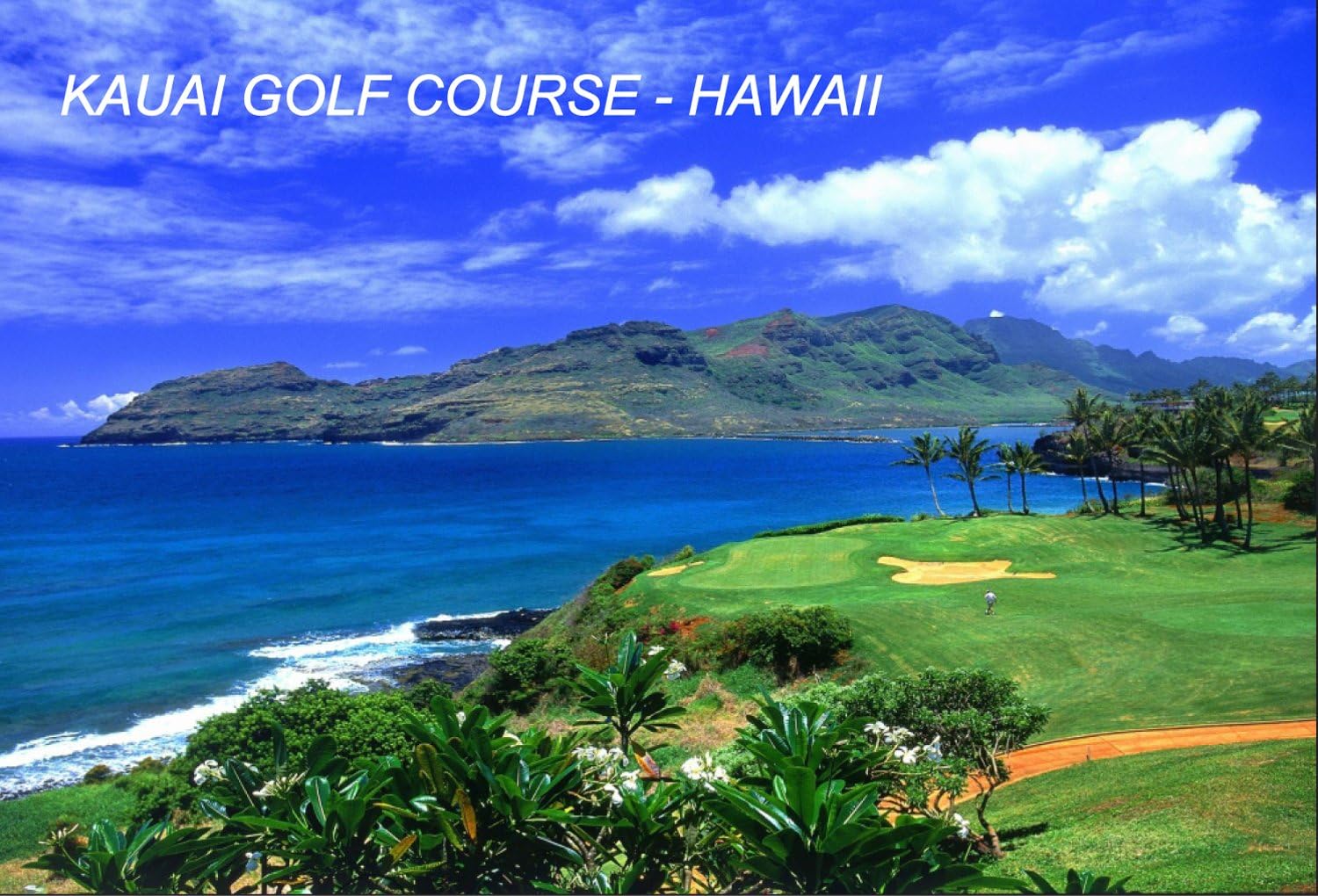 Hawaii USA United States Fridge Refrigerator Magnets (1 Piece, Style: Kauai Golf Course #S7)