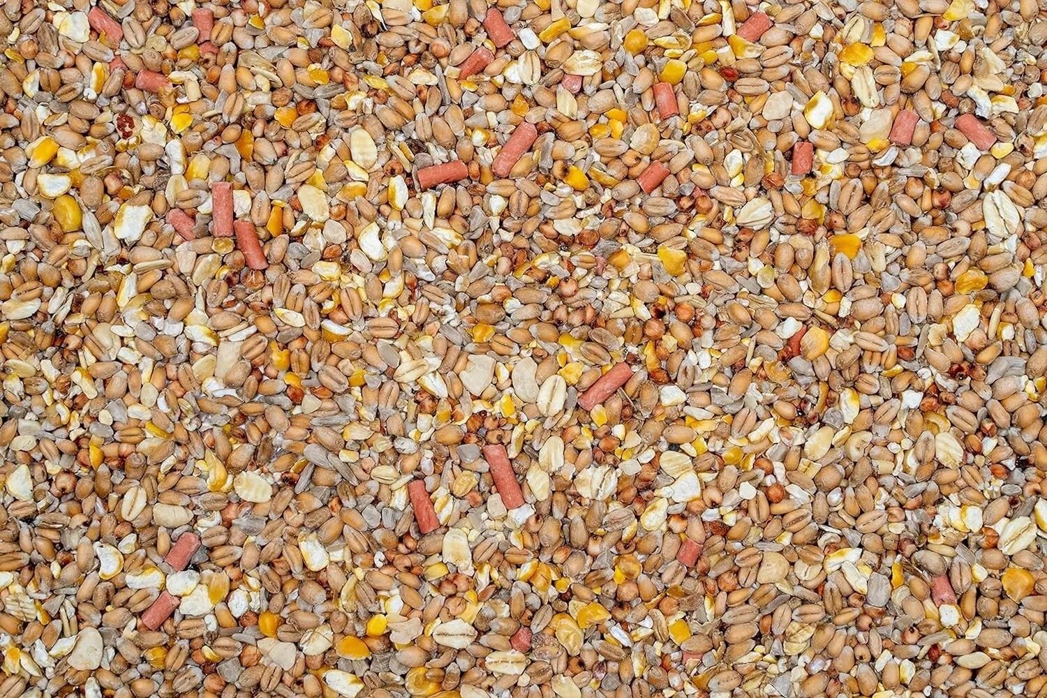 Johnston & Jeff 3 kg No Mess No Grow Wild Bird Seed Mix – Premium Clean, Waste-Free, Non-Germinating Feed for Garden Birds