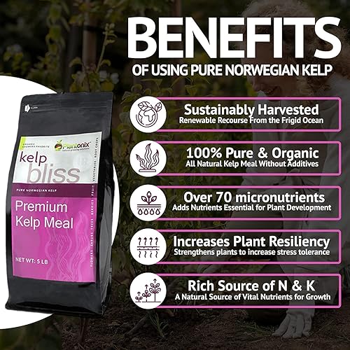 Miniatura 5 de Kelp Bliss (1 libra) + Worm Bliss (1 cuarto de galón) - Fundición de lombrices de tierra y harina pura de algas - Fertilizante orgánico de fundición