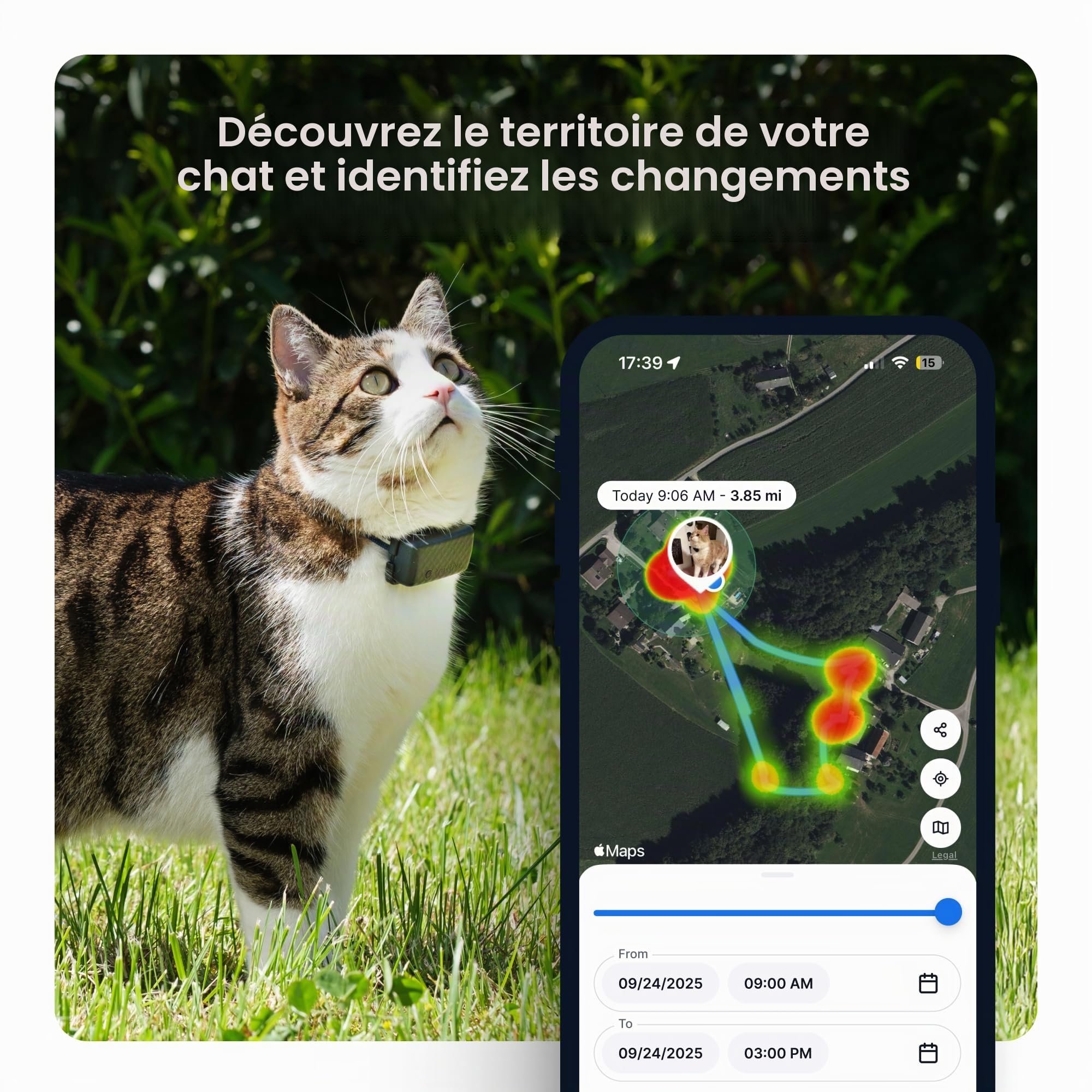 Tractive Collier de Suivi GPS Intelligent pour Chat | Localisation en Temps Réel et Surveillance de la Santé pour Chats de 2,9 kg et Plus | Historique du Territoire et de la Localisation | Batterie