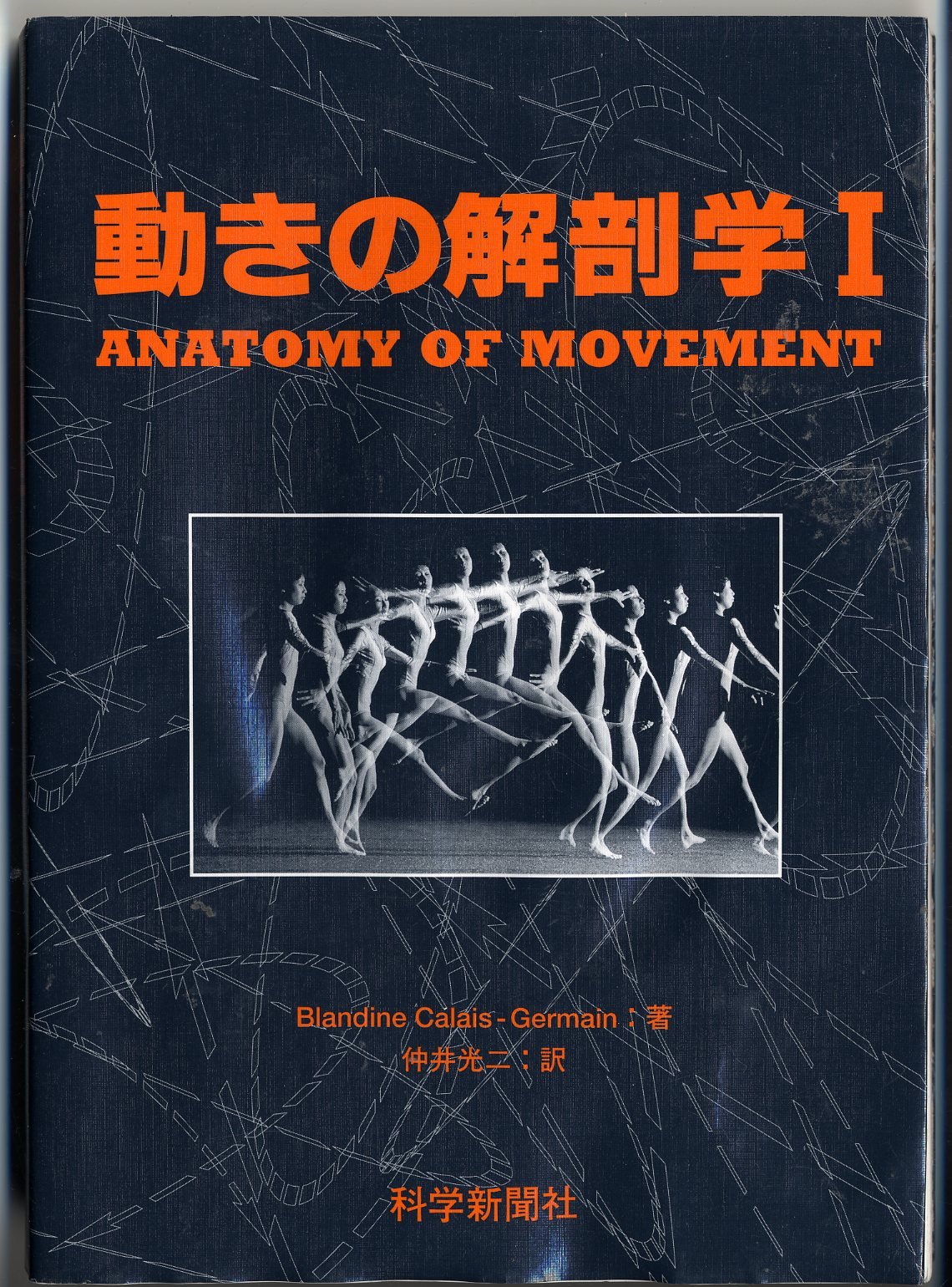 解剖学 1 Anatomy 1 8165rxp3BYL.jpg