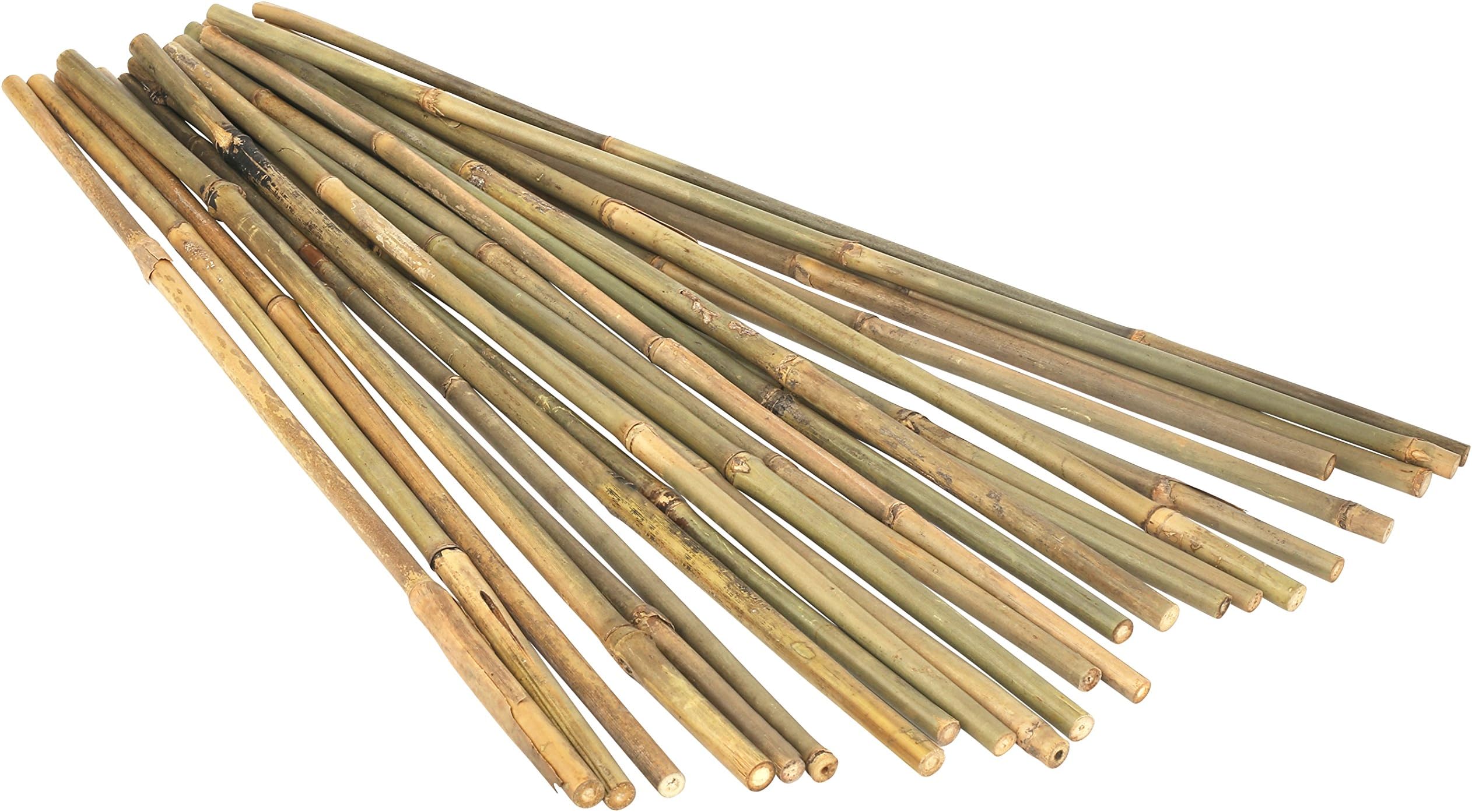 Kaya Collection 2448 1/2 Inch Stake Poles-24 Pack Bamboo Poles, 4 Feet, Natural