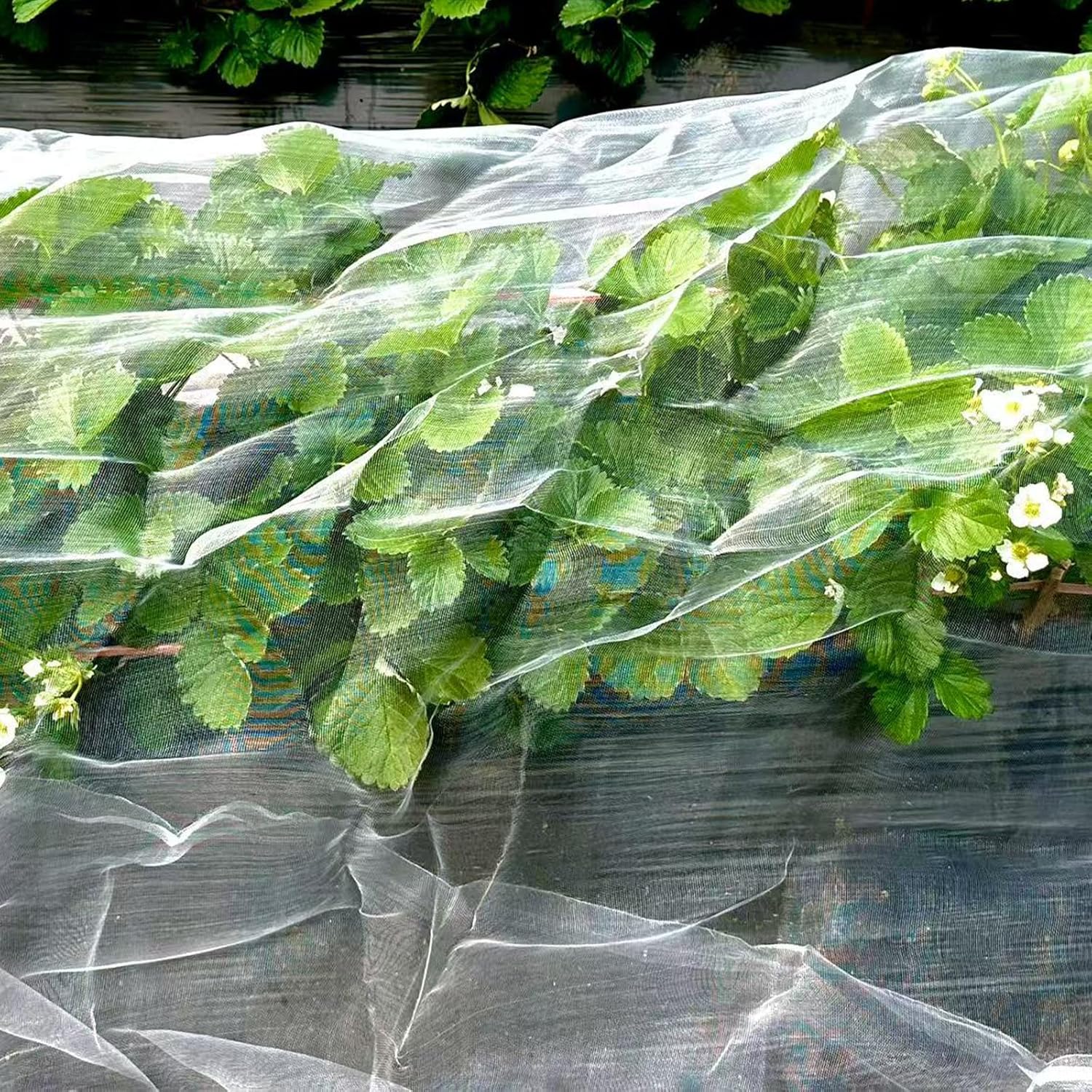 Garden Netting, 10x50FT Ultra Fine, Gardening Mesh Netting, Mosquito Net, Garden Netting for Raised Beds, Plant Covers, for Vegetable Plants, Fruits, Flowers, Crops