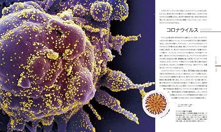 Micro Life 図鑑 美しきミクロの世界