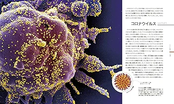 MICRO LIFE 図鑑 美しきミクロの世界 | スミソニアン協会, 遠藤