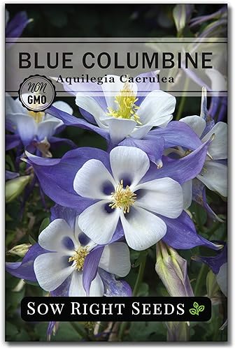 Miniatura 1 de Sow Right Seeds - Semillas de flores de columbina azul para plantar - Paquete de reliquia sin OMG con instrucciones para plantar en tu jardín -