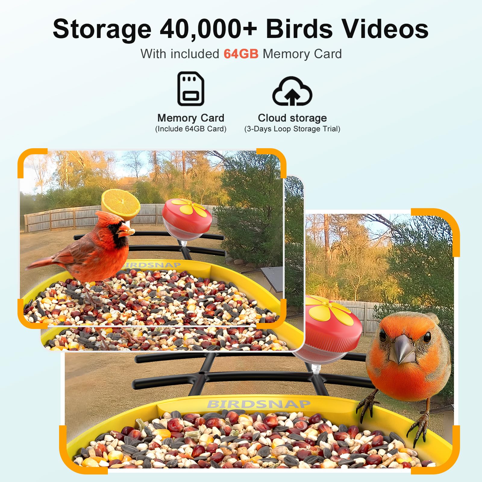 birdsnap® PAV-Comedero para pájaros con cámara, 2K HD con tarjeta de 64 GB, panel solar inteligente de identificación de inteligencia artificial, transmisión en vivo, detección de movimiento