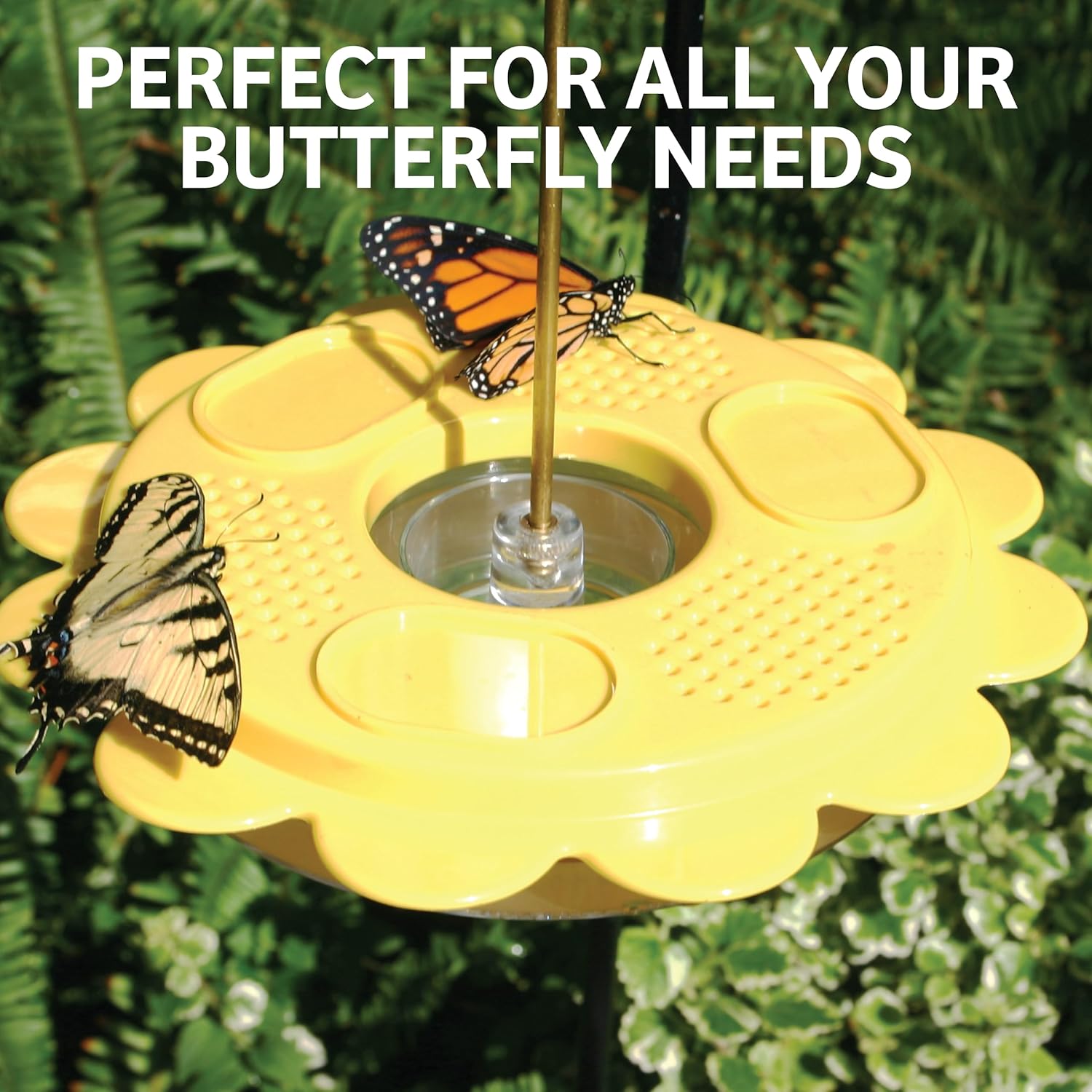 Birds Choice Flutterby Butterfly Feeder (12 oz.) with Butterfly Nectar (7.5 oz)