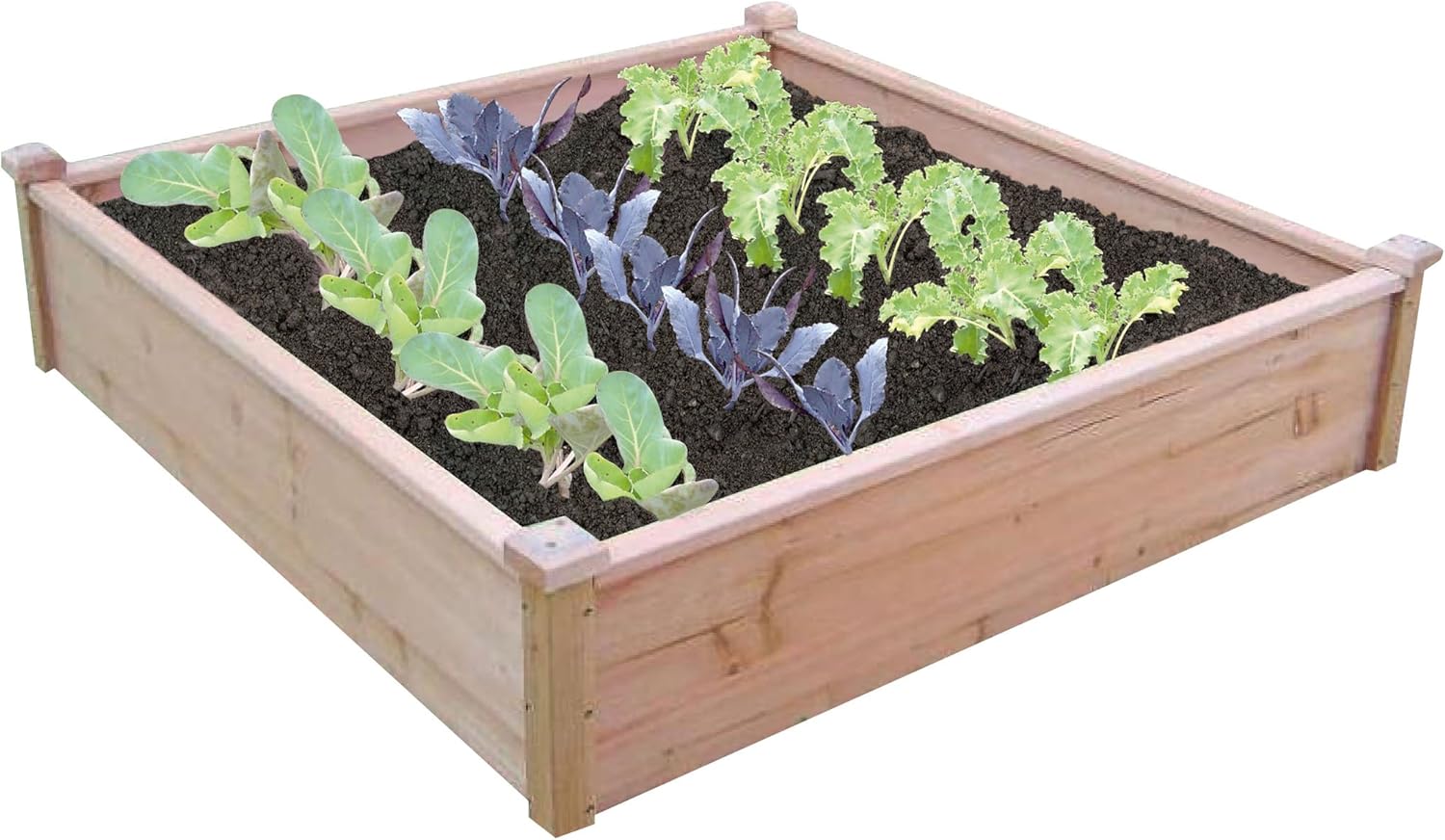Spear & Jackson 1250 x 1250 x 180 mm Raised Vegetable Bed Buy Online