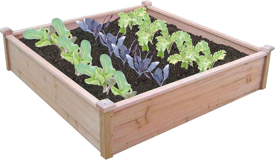 Amazon.co.uk raised beds