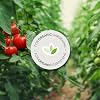 Product Photo 7