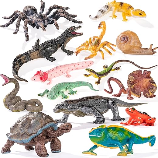 Reptiles & Amphibian Supplies